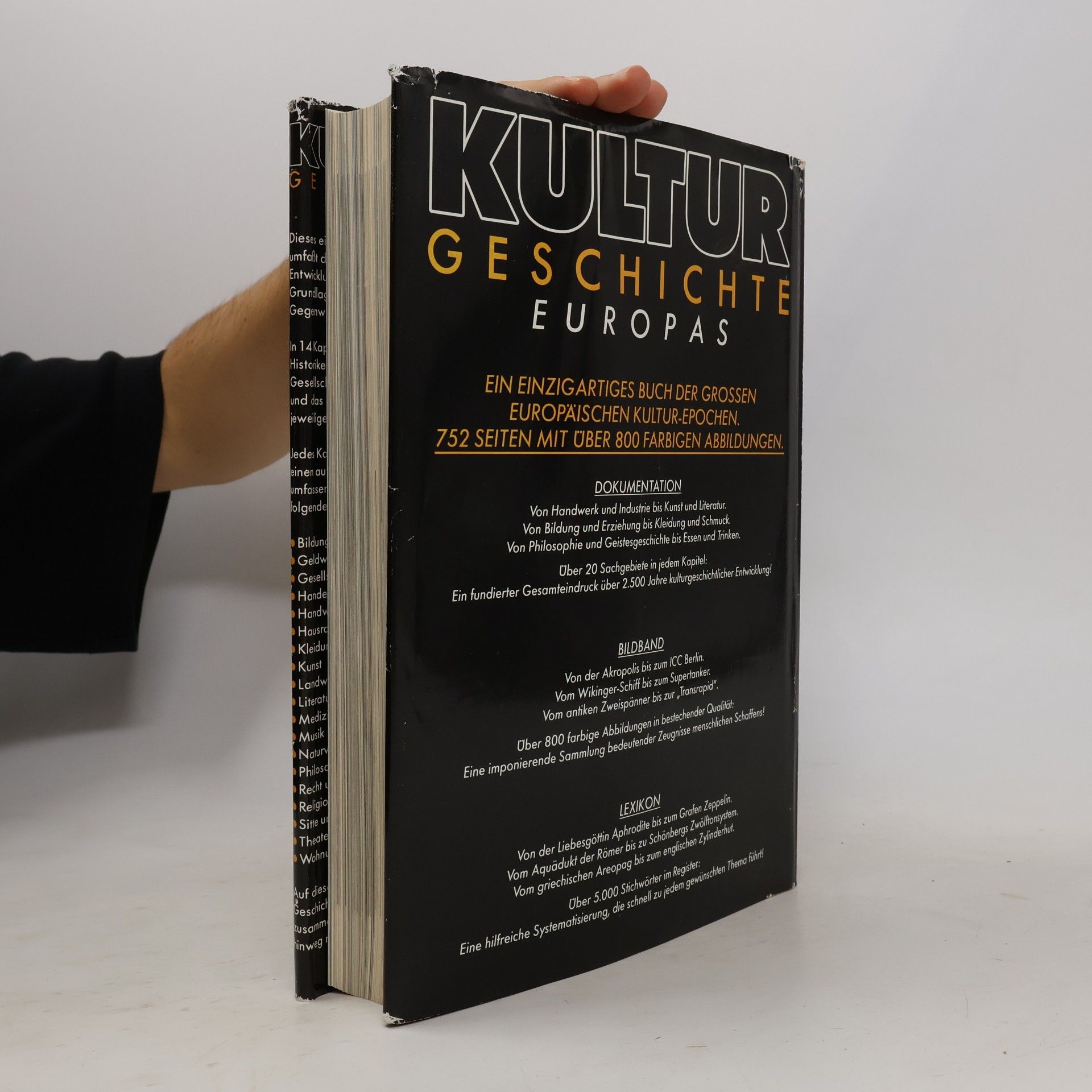 Kolektív autorov Kultur Geschicte. Europas