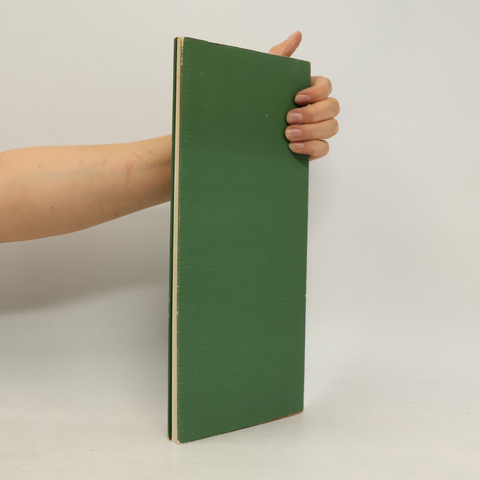 Mirjam Bohatcová ´The Czech Book and the World
