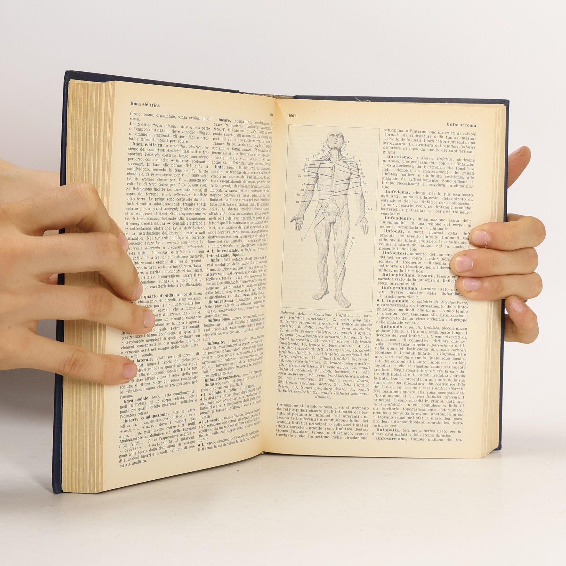 Autorenkollektiv Enciclopedia scientifica tecnica garzanzi. F-P