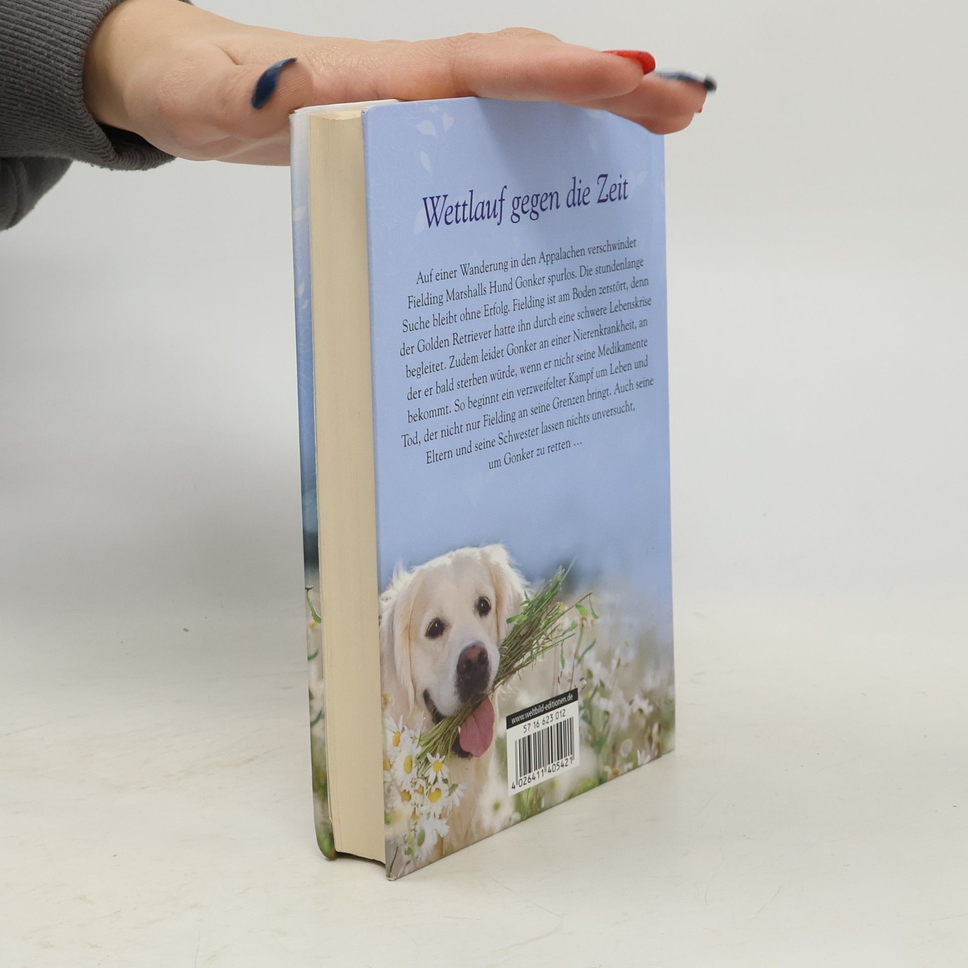 Pauls Toutonghi Hund verzweifelt gesucht