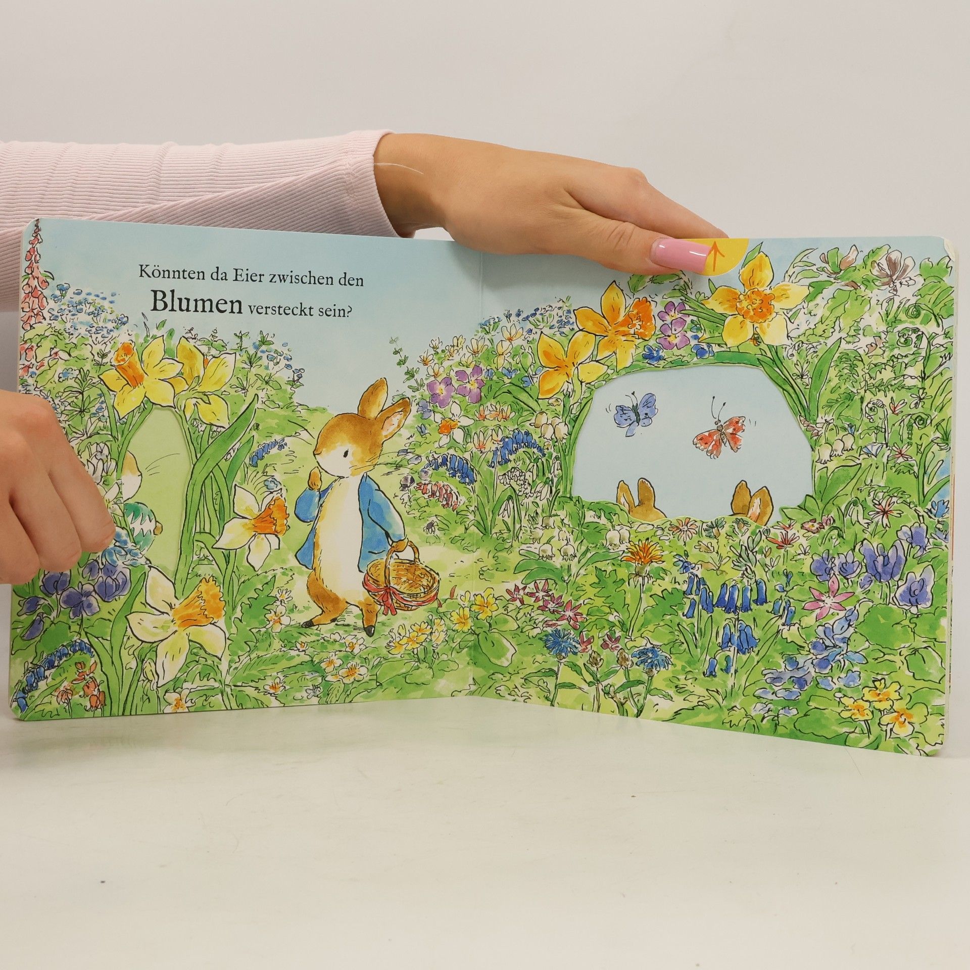 Beatrix Potter Die Welt von Peter Hase Die große Ostereiersuche