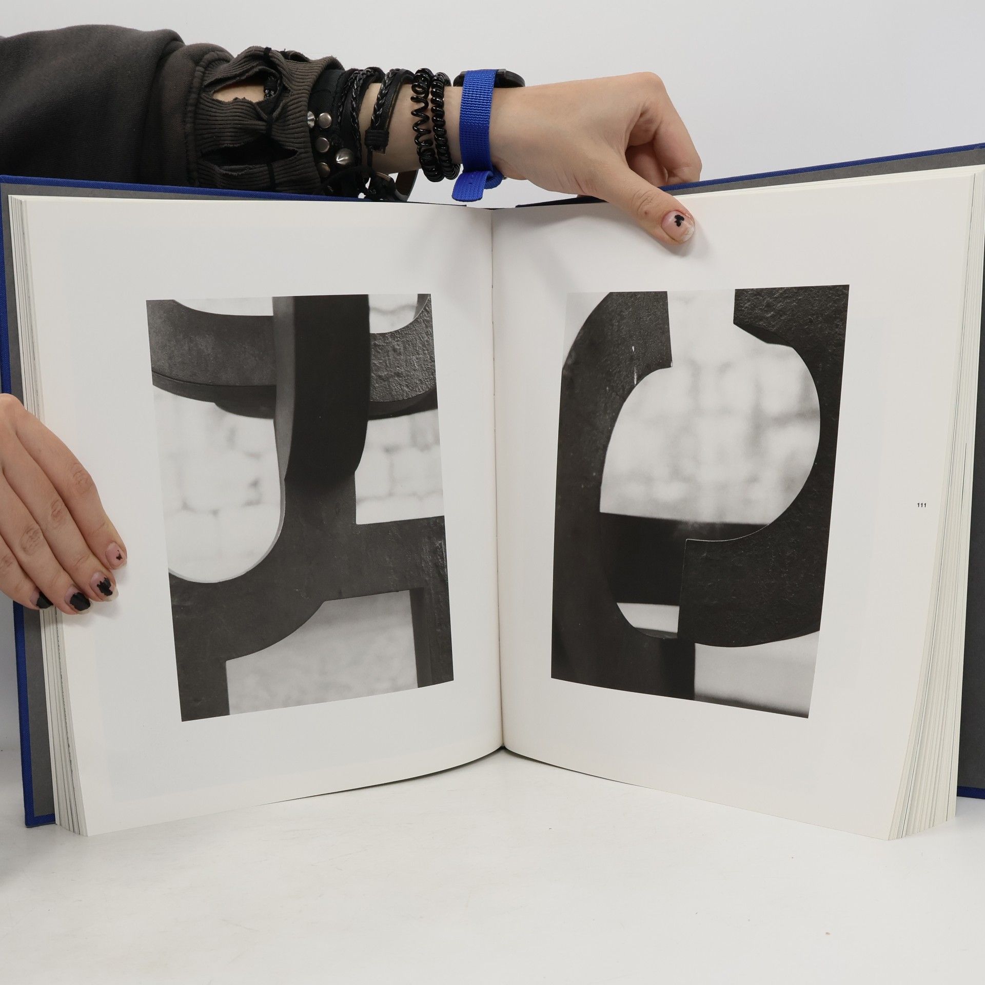 Wolfgang Klauke CHillida