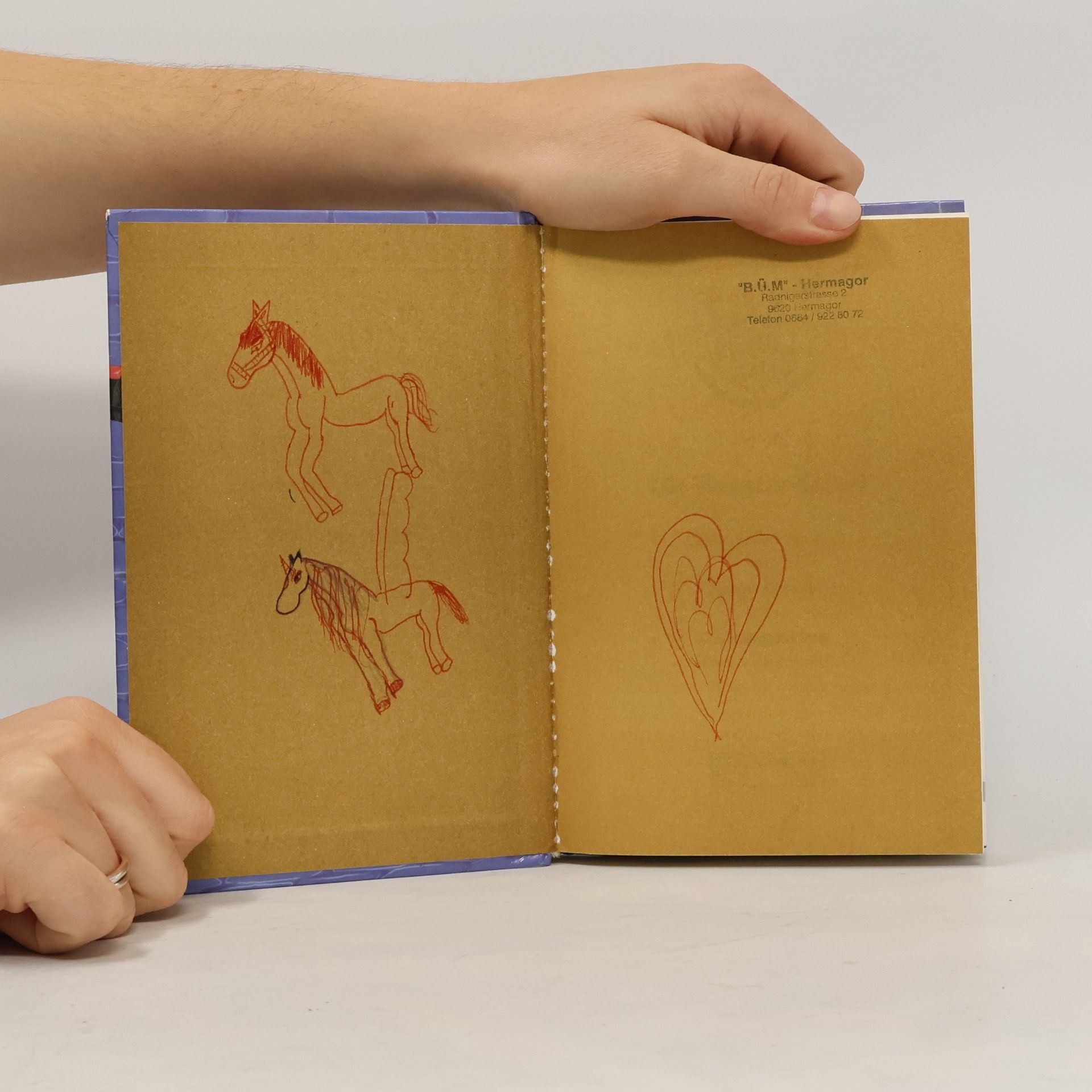 Thomas Brezina Ein Fall für dich und das Tiger-Team. Die Monster-Safari