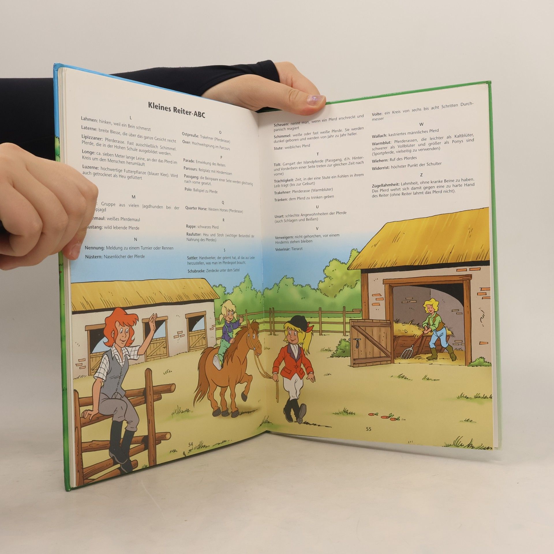Autorenkollektiv Das grosse Bibi und Tina Buch