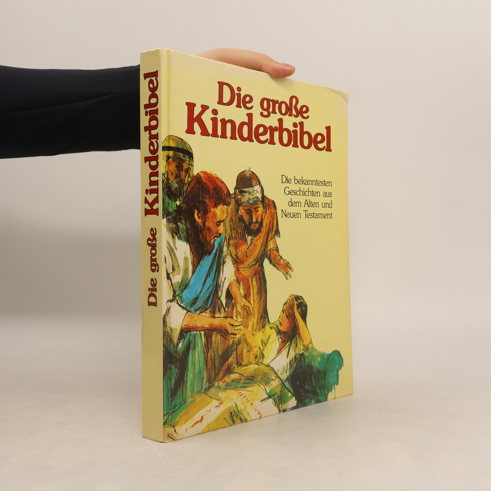 Various authors Die große Kinderbibel