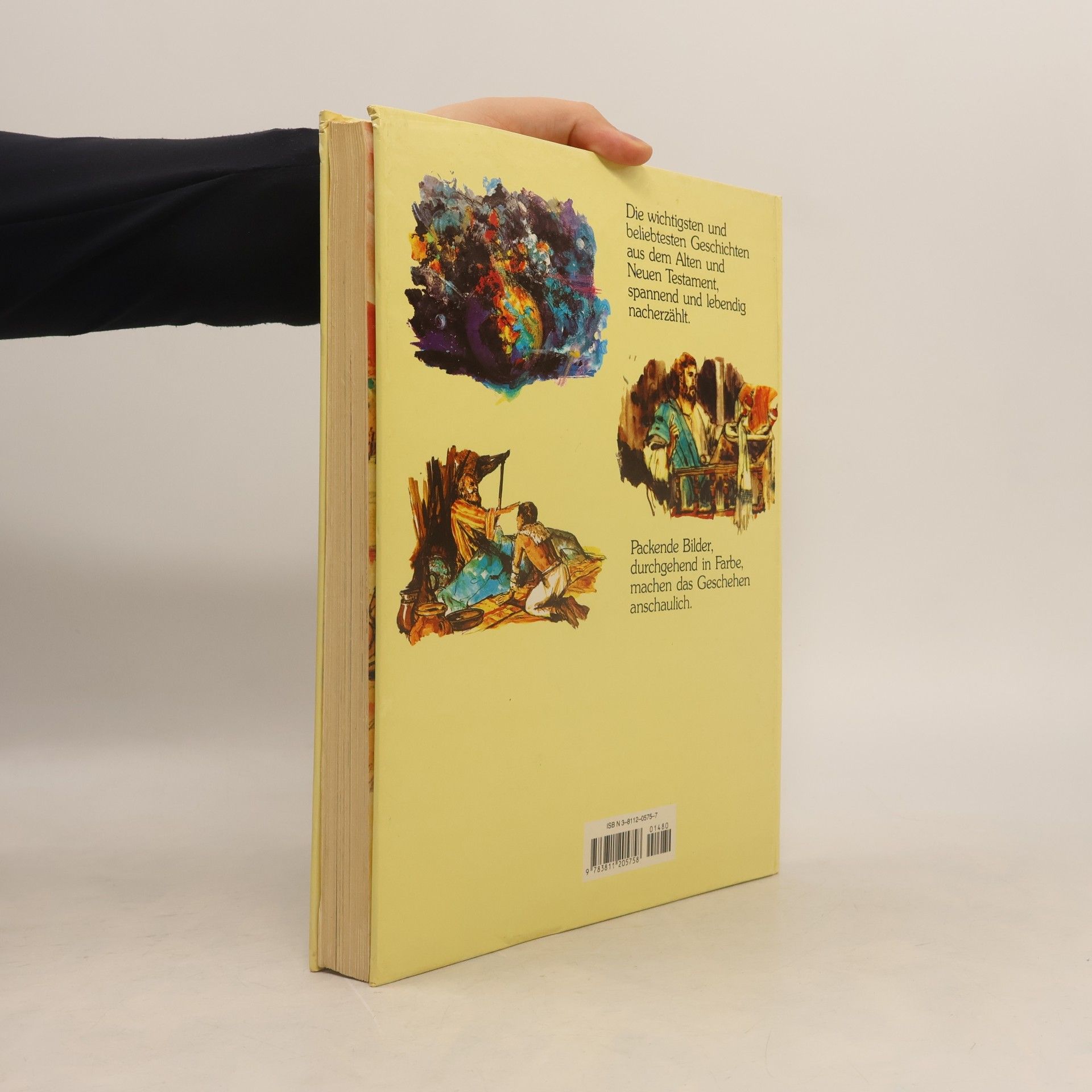Kolektiv autorů Die große Kinderbibel