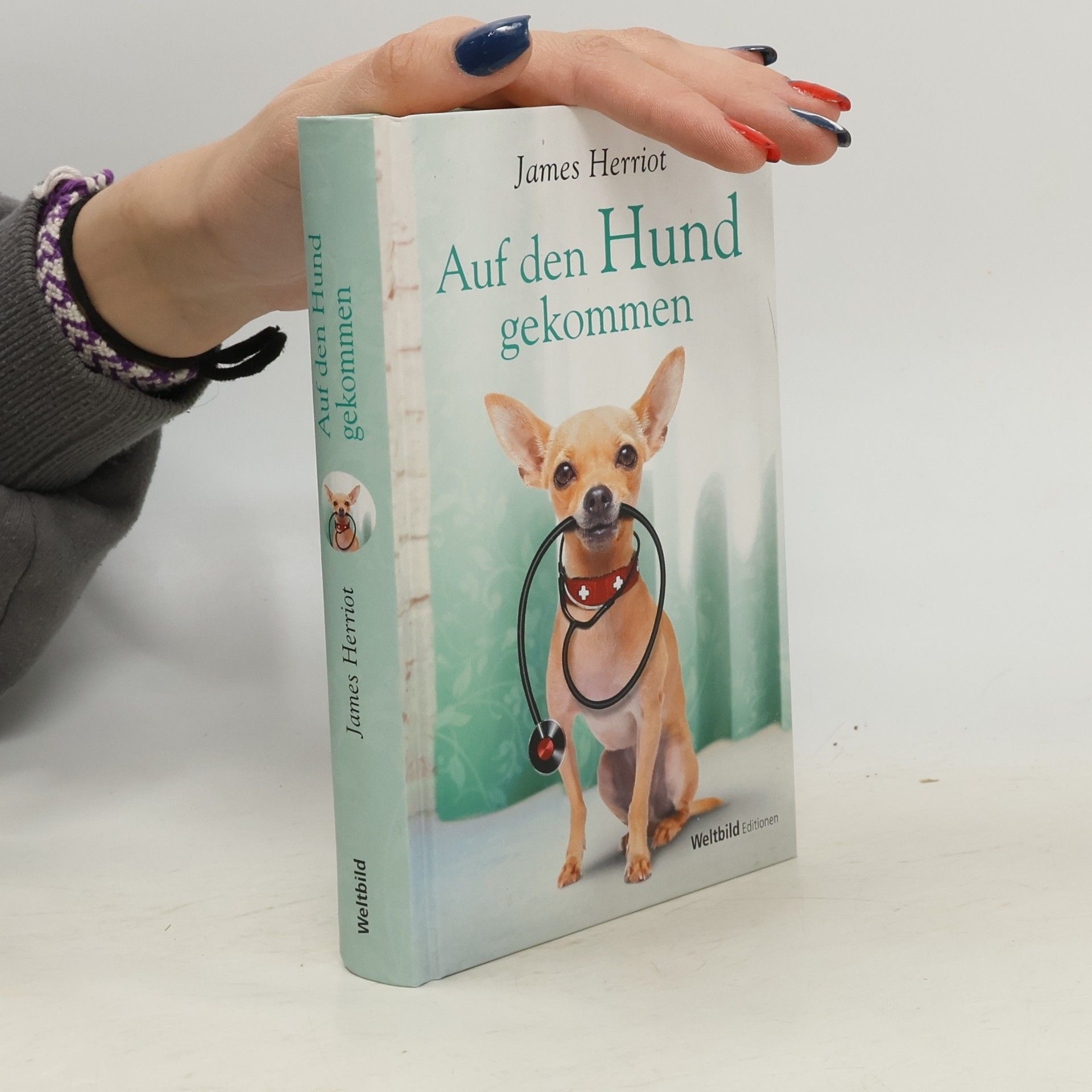 Auf den Hund gekommen