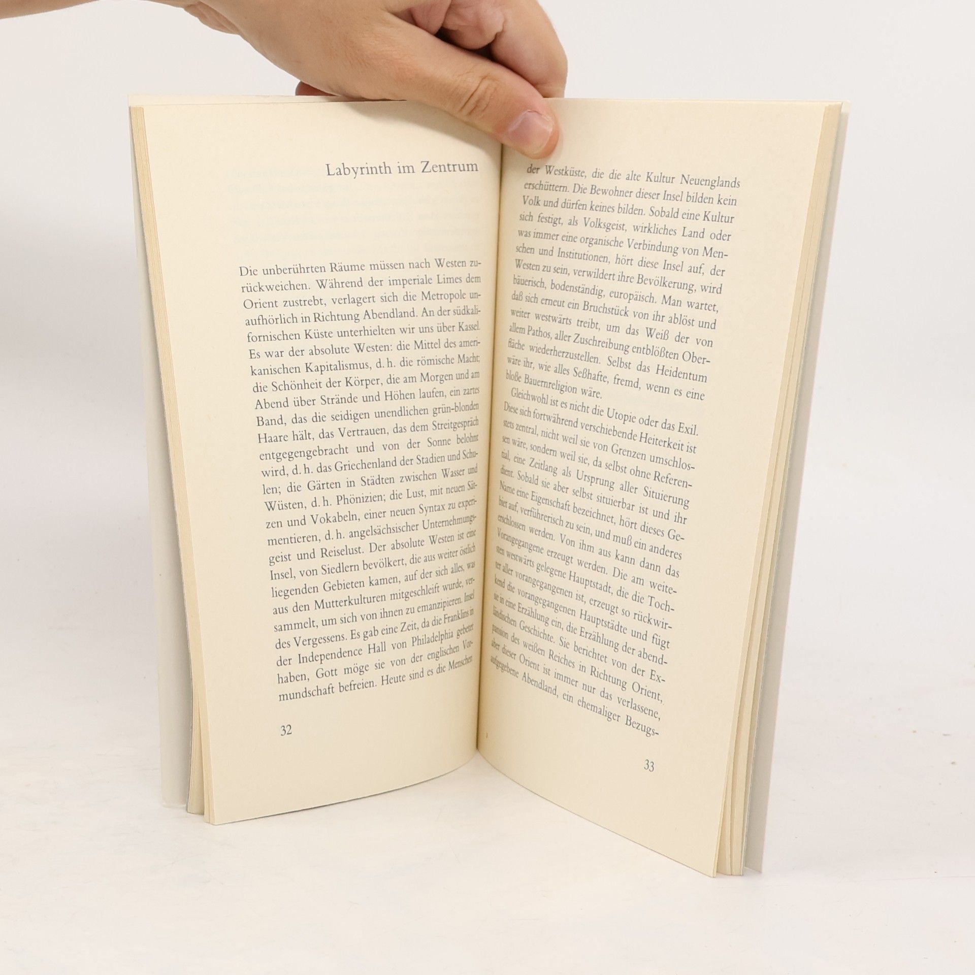 Jean Francois Lyotard Die Mauer des Pazifik