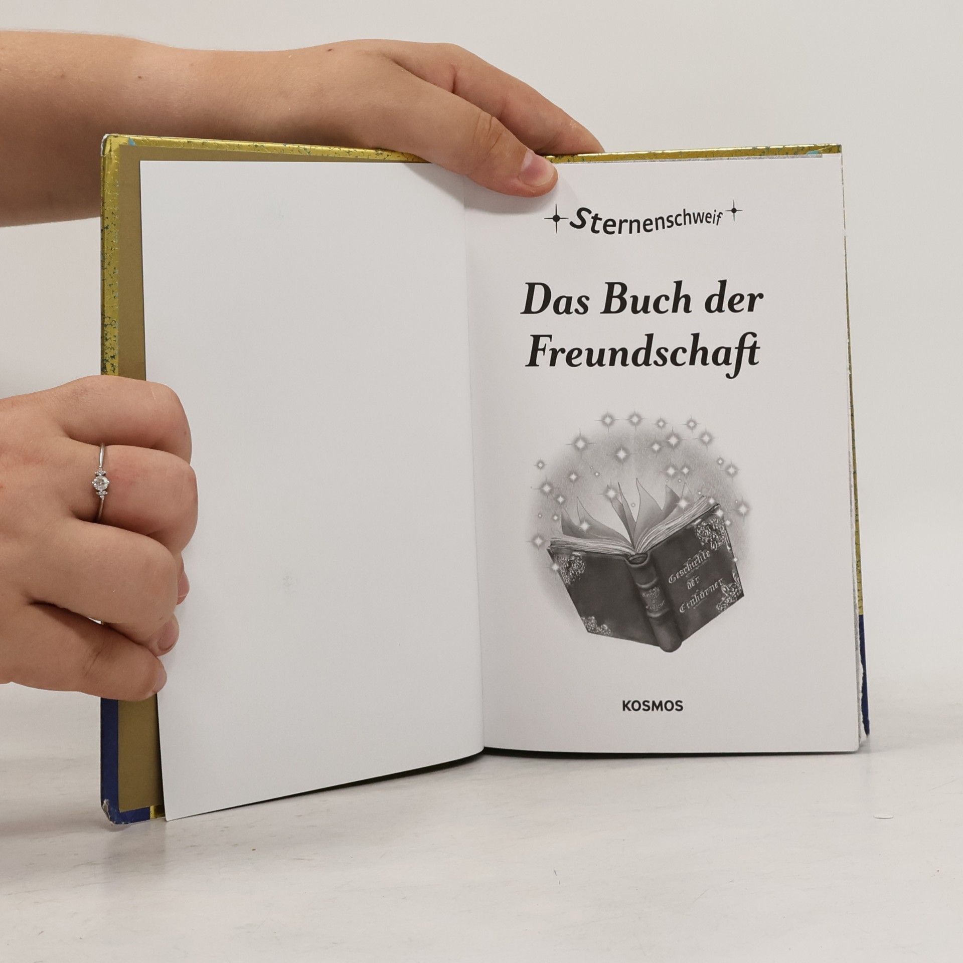 Autorenkollektiv Sternenschweif
