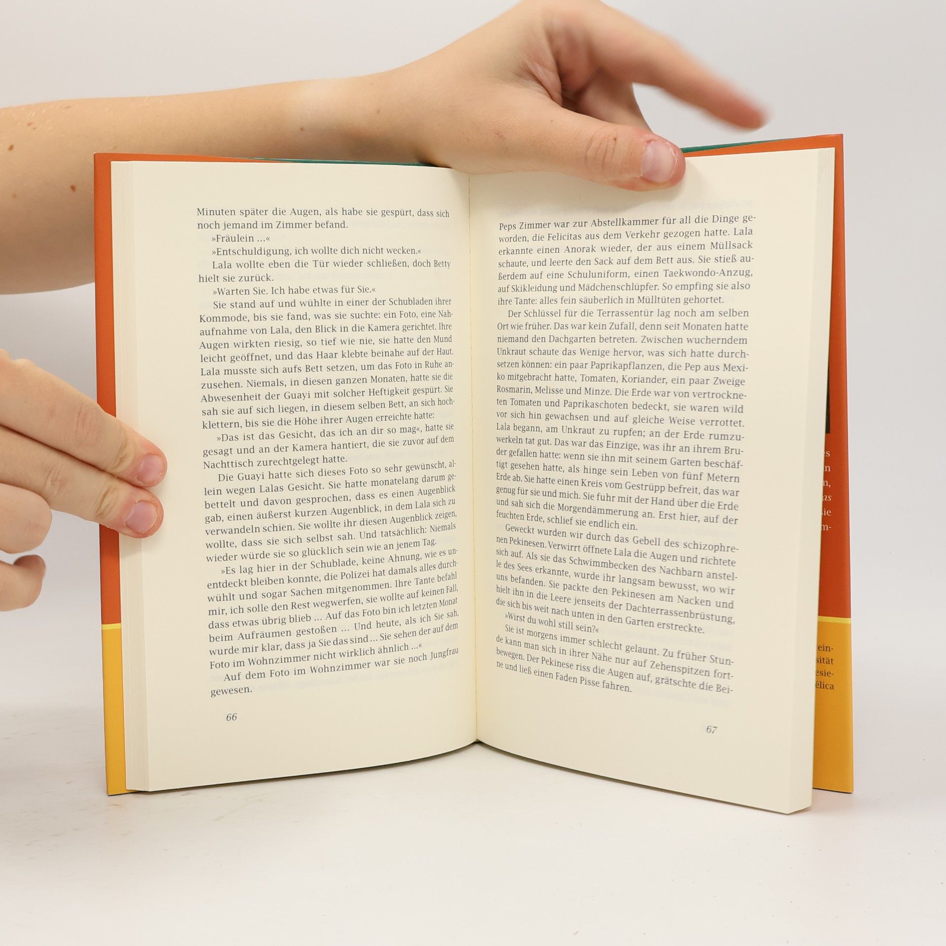 Luci a. Puenzo Das Fischkind