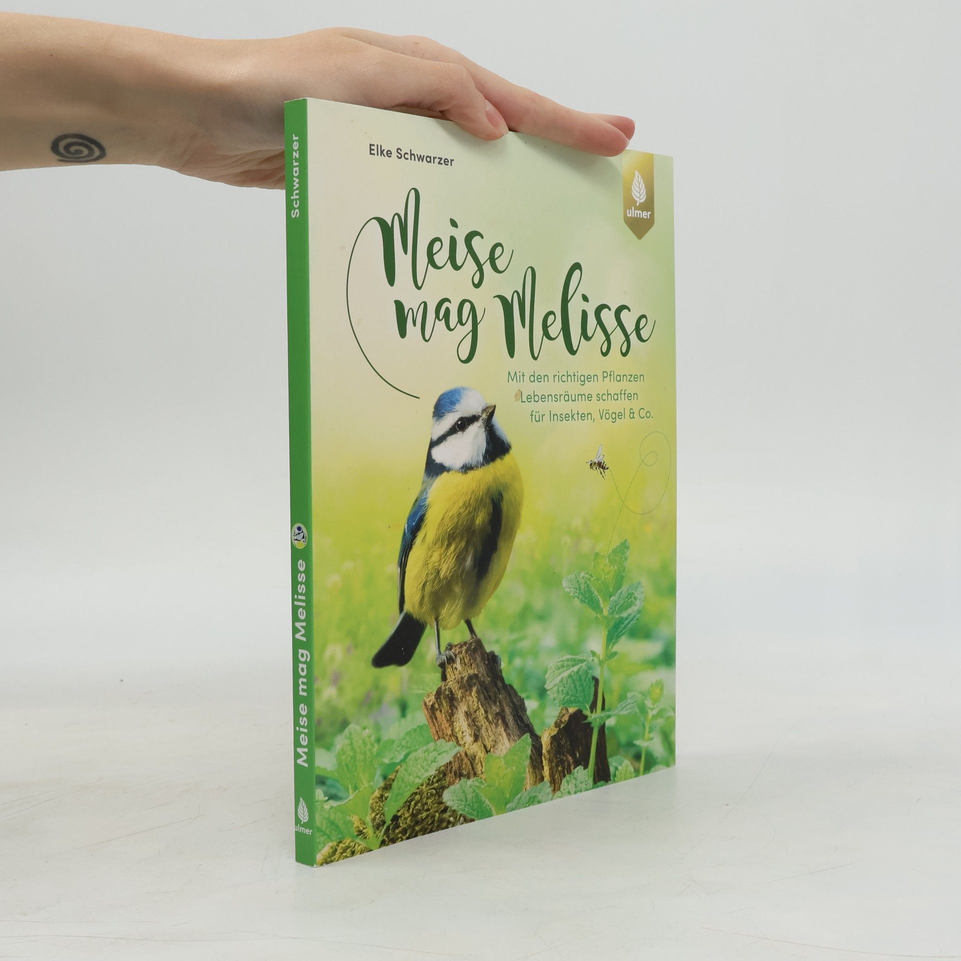 Elke Schwarzer Meise mag Melisse