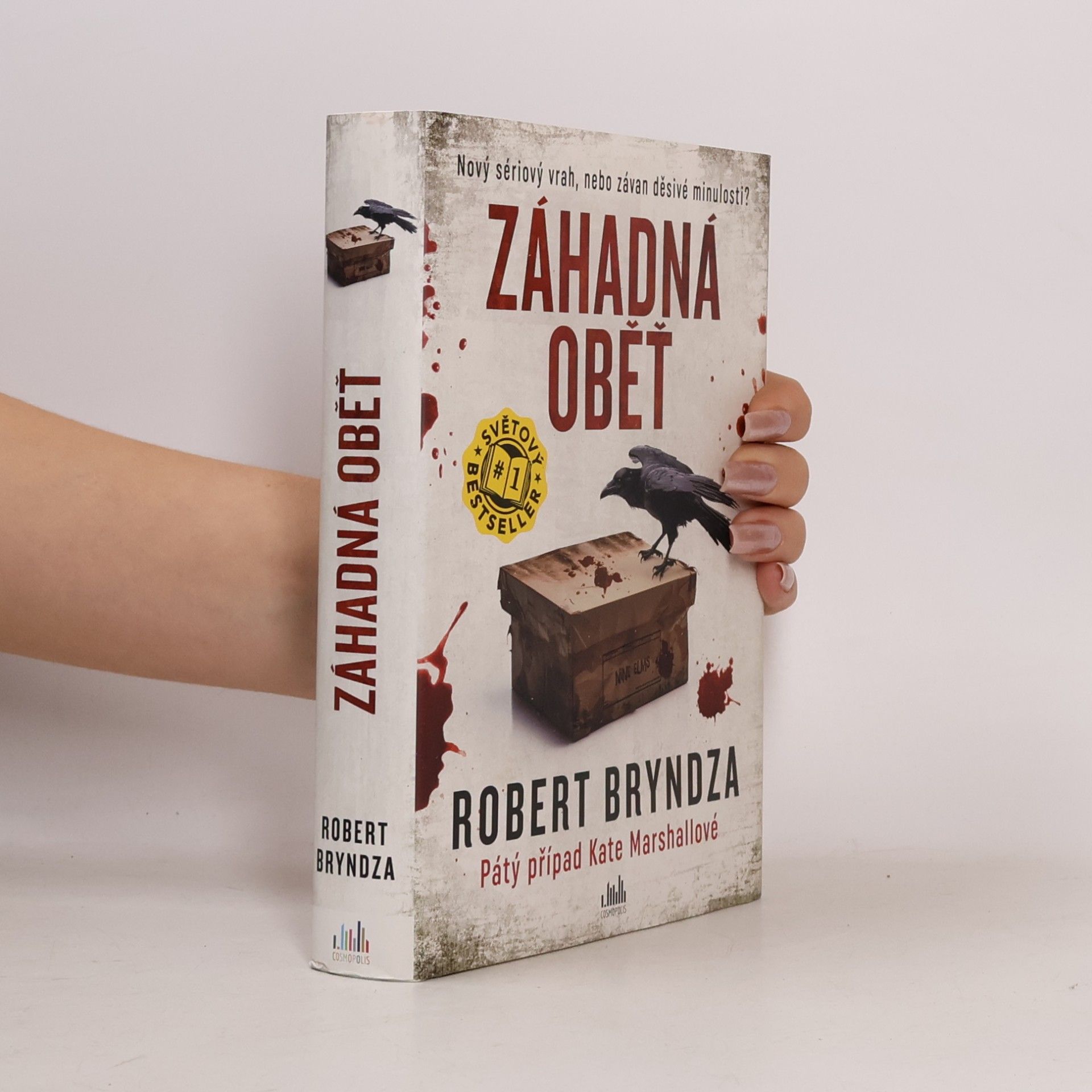 Robert Bryndza Záhadná oběť