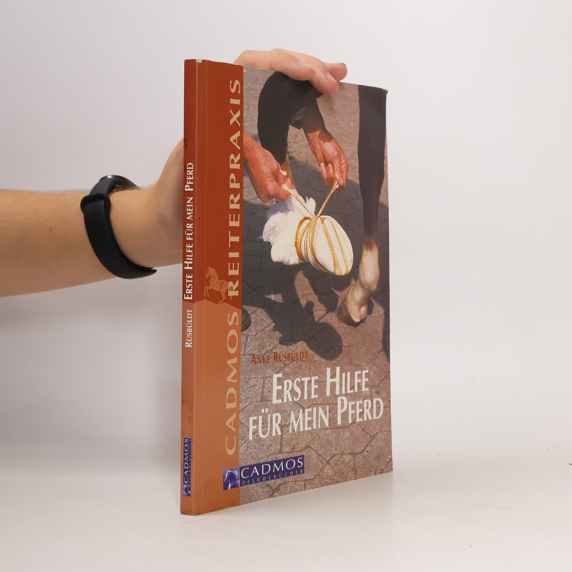 Erste Hilfe für mein Pferd