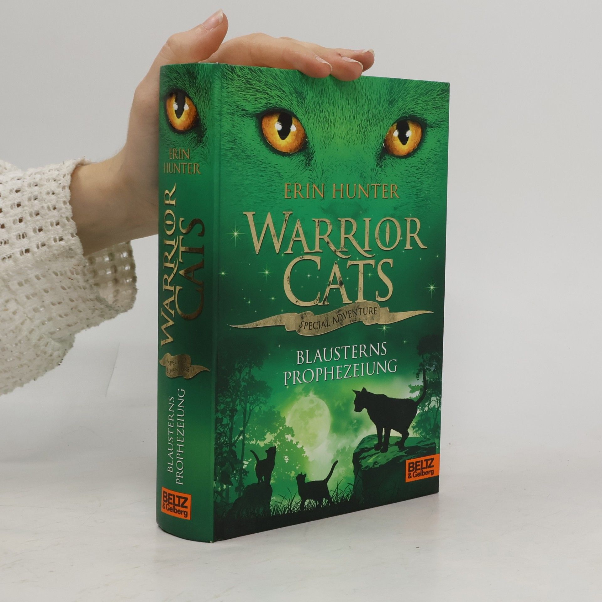 Warrior cats. Special Adventure