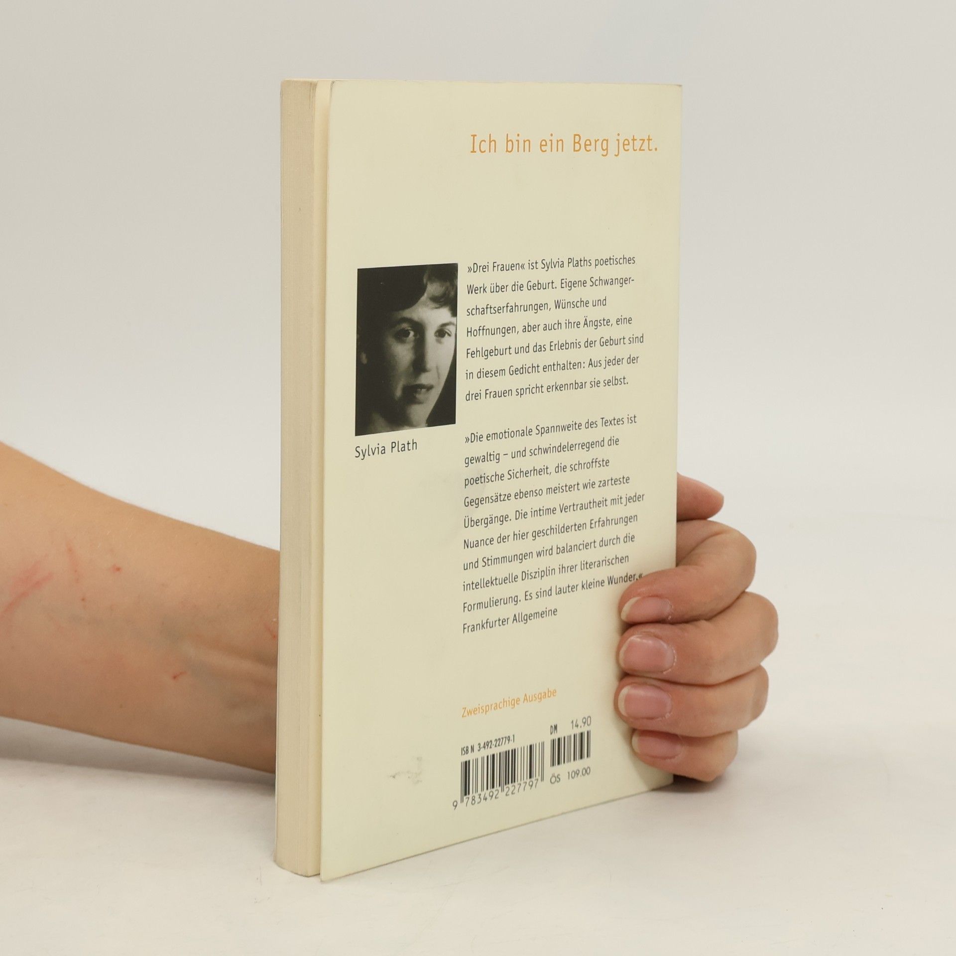 Sylvia Plath Drei Frauen