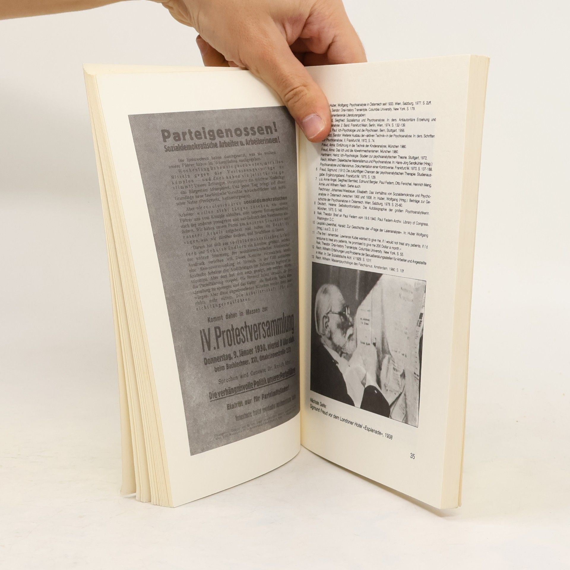 Karl Fallend zur Geschichte der Psychoanalyse