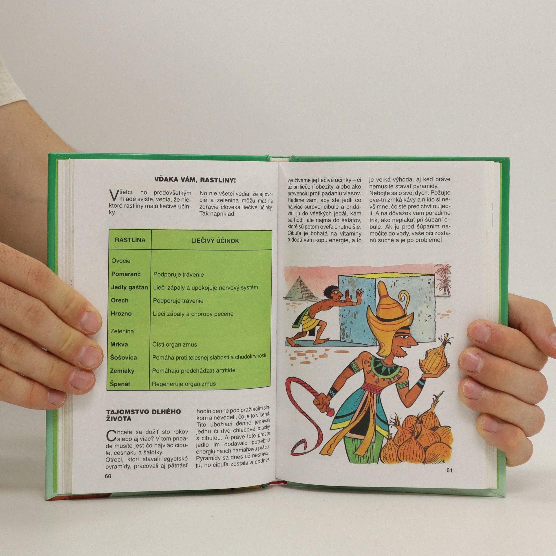 Kolektiv autorů 5. príručka mladých svišťov