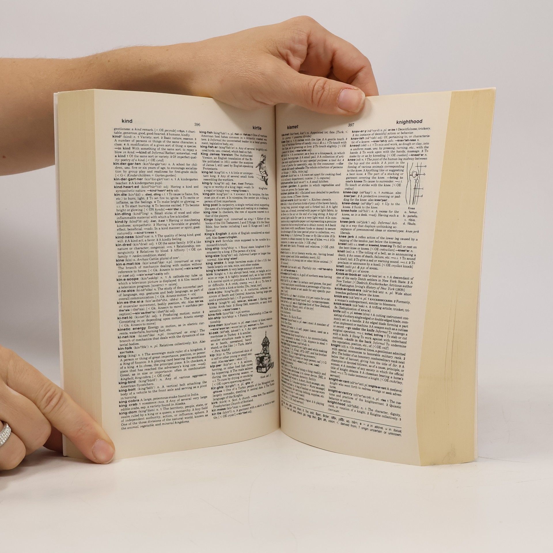 The new international Webster's student dictionary