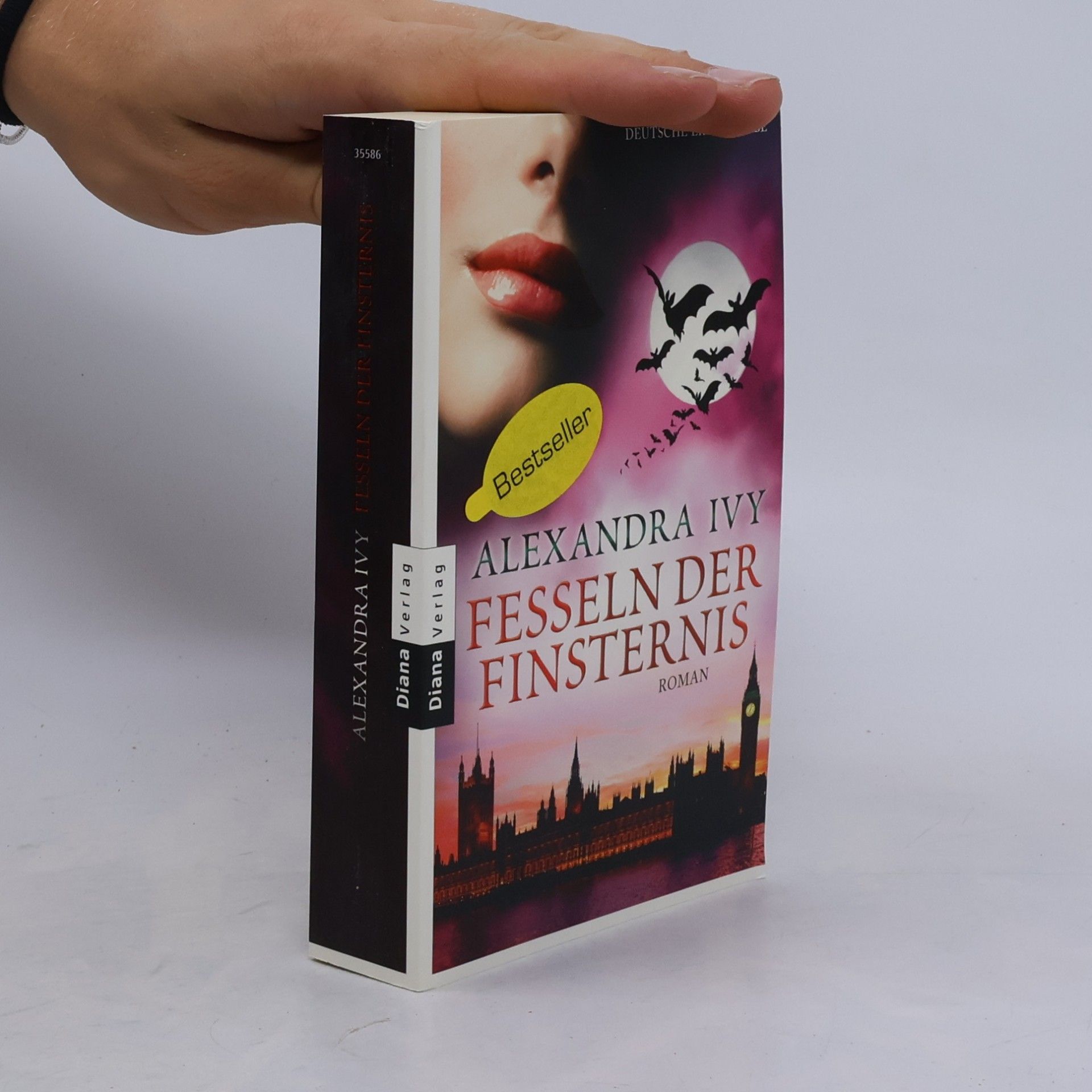 Debbie Raleigh Fesseln der Finsternis
