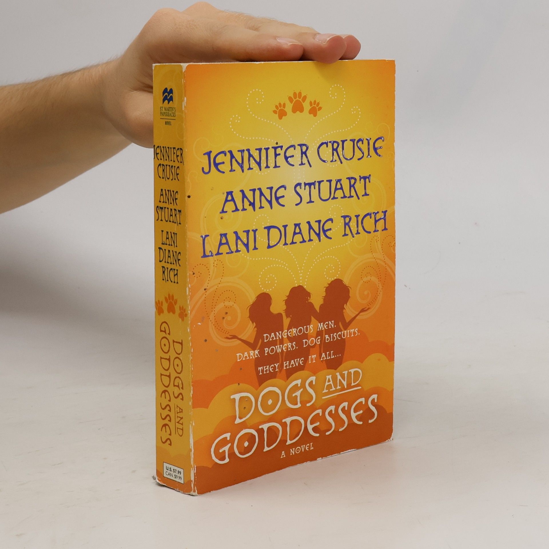 Lani Diane Rich Dogs and Goddesses