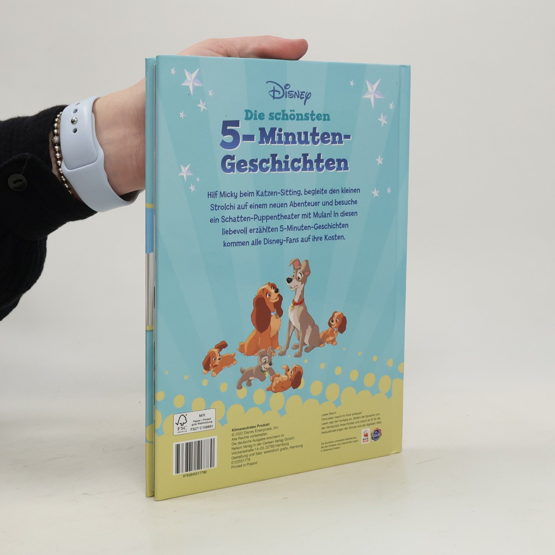 Disney Storybook Art Team Die schönsten 5-Minuten-Geschichten