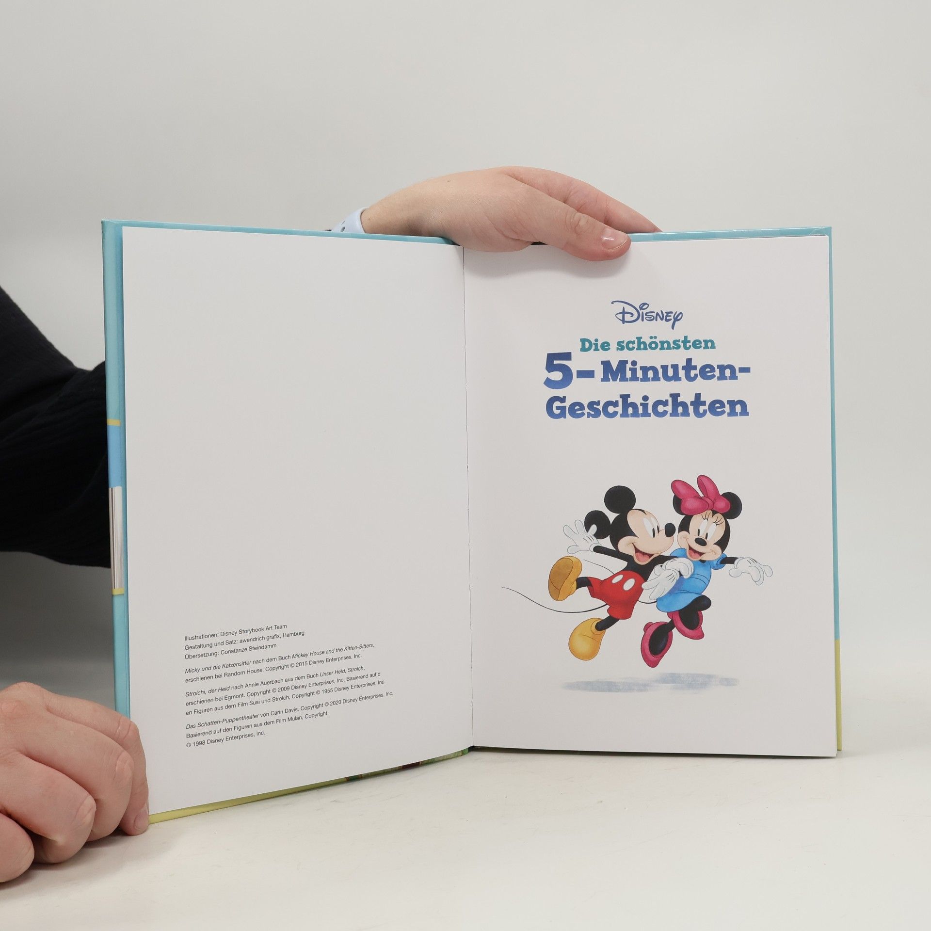 Disney Storybook Art Team Die schönsten 5-Minuten-Geschichten