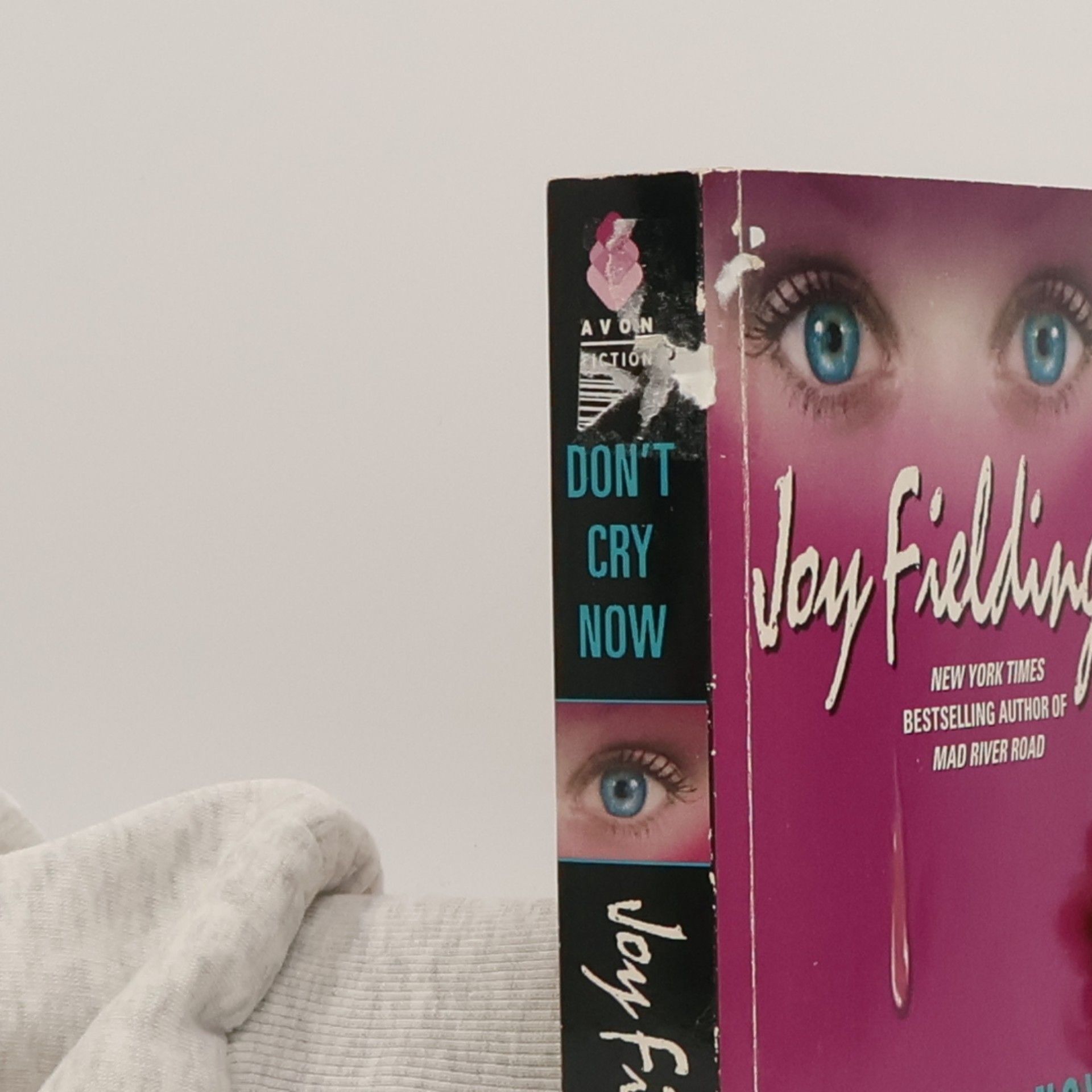 Joy Fielding Don't Cry Now