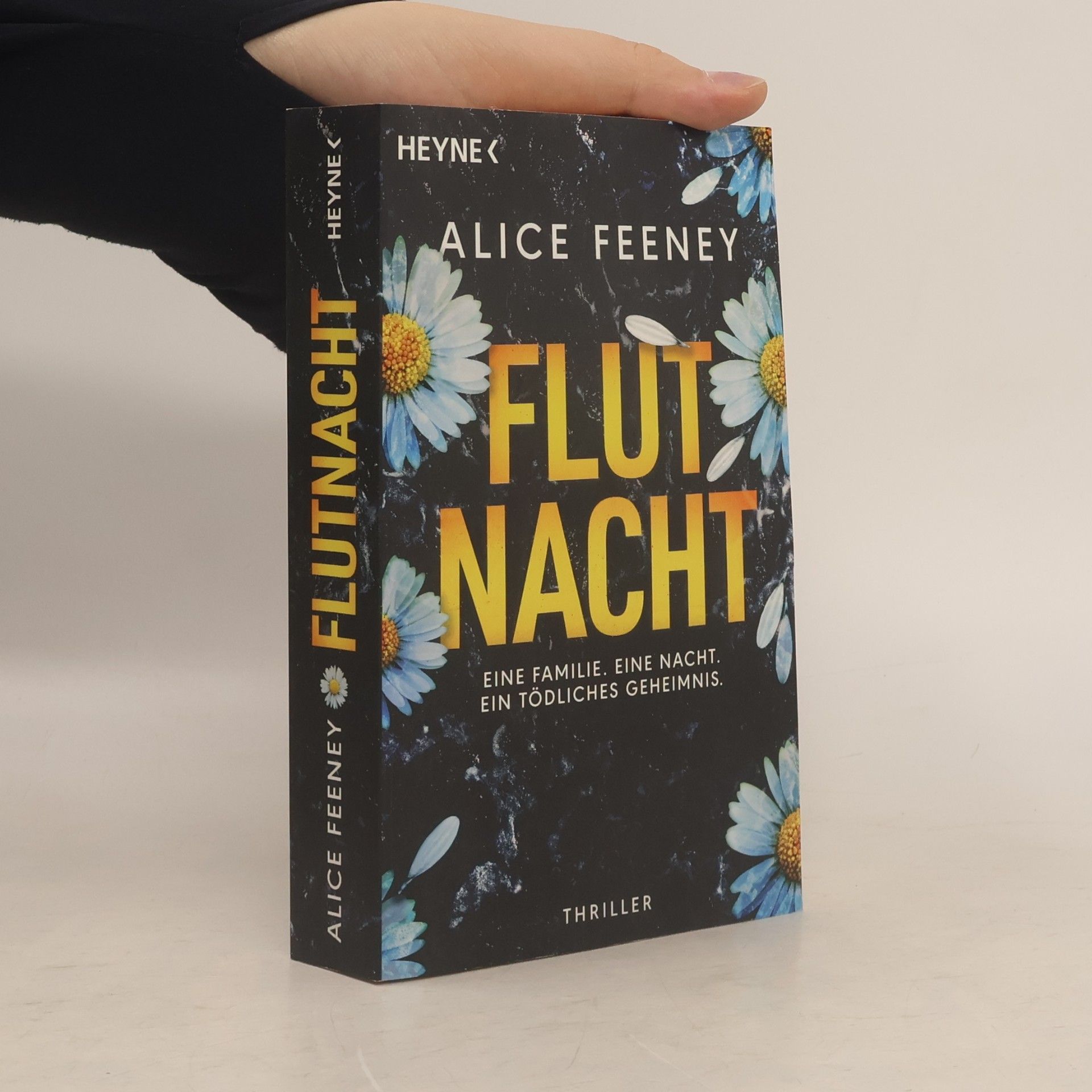 Alice Feeney Flutnacht – Eine Familie. Eine Nacht. Ein tödliches Geheimnis.. Thriller
