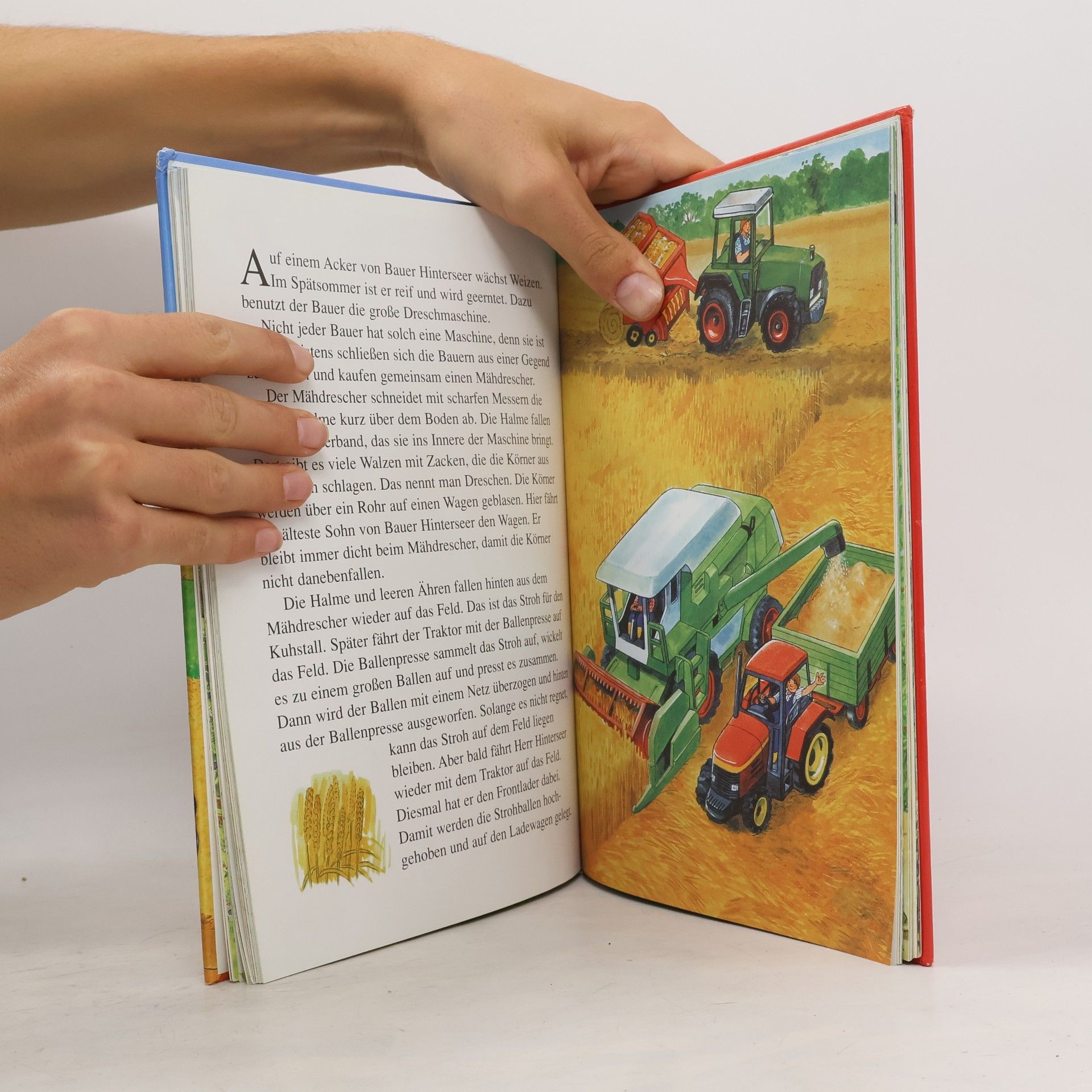 Ingrid Pabst Mein großes Buch vom Bauernhof