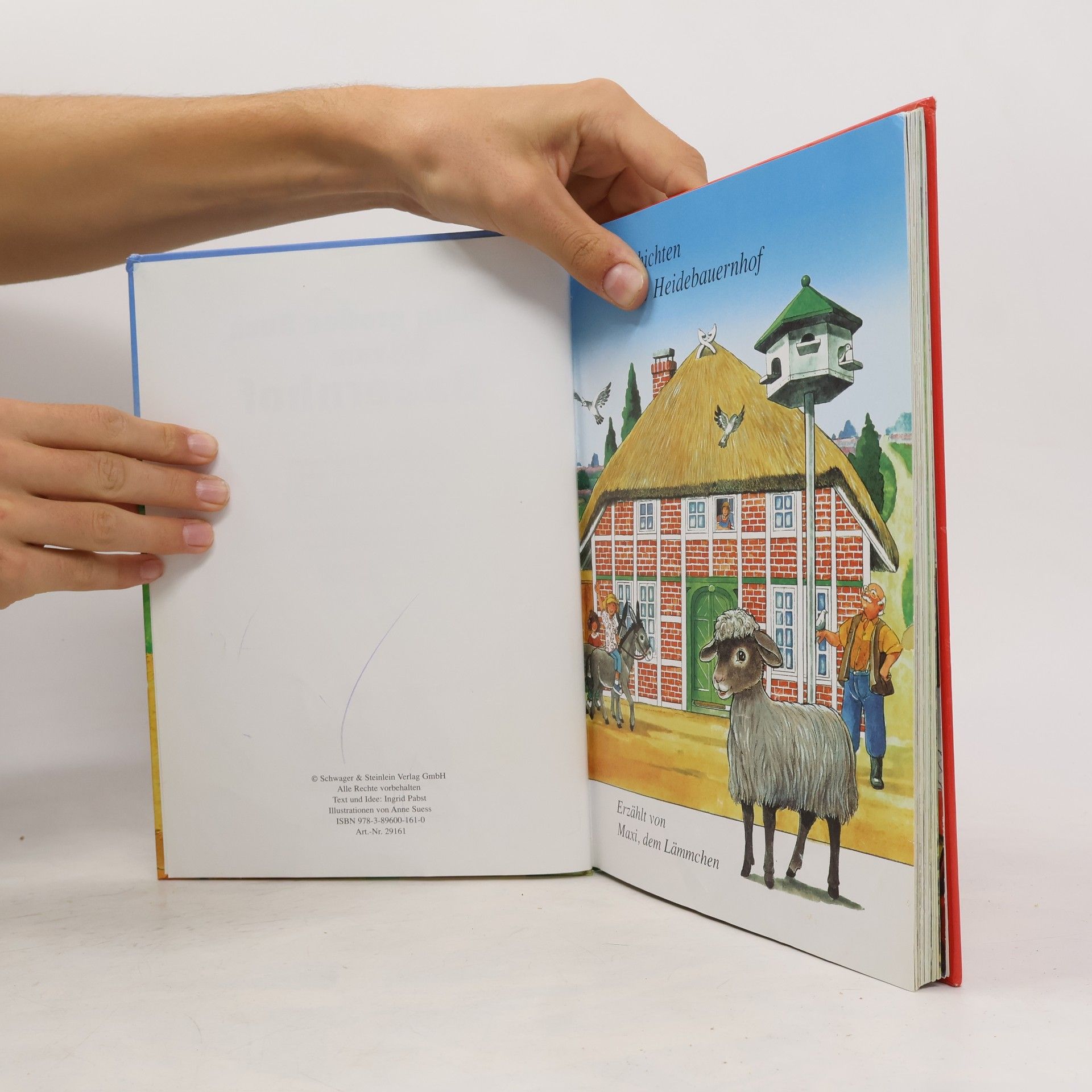 Ingrid Pabst Mein großes Buch vom Bauernhof