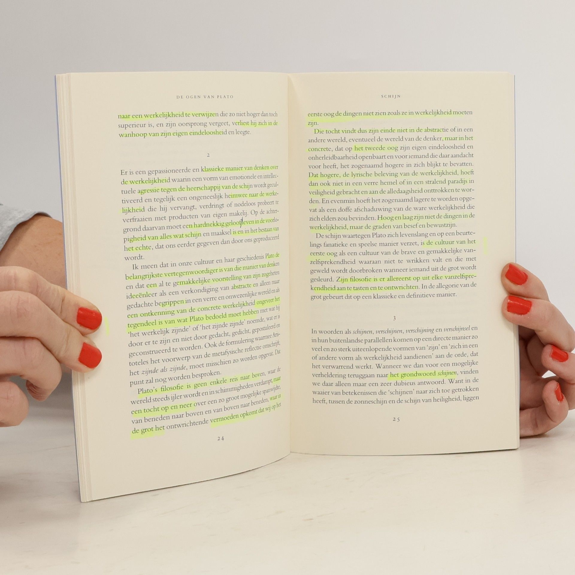 Cornelis Verhoeven Boom essay: De ogen van Plato