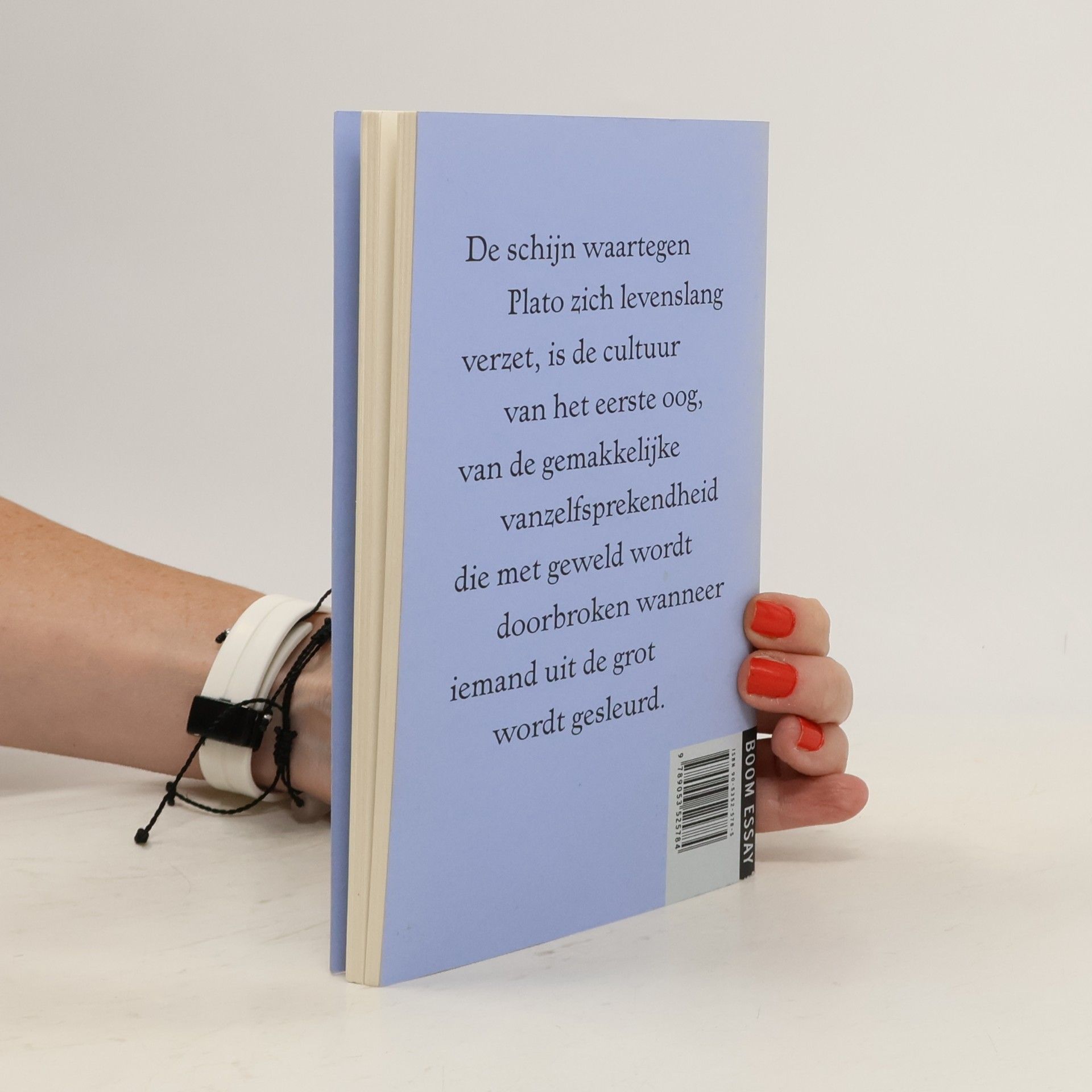 Cornelis Verhoeven Boom essay: De ogen van Plato