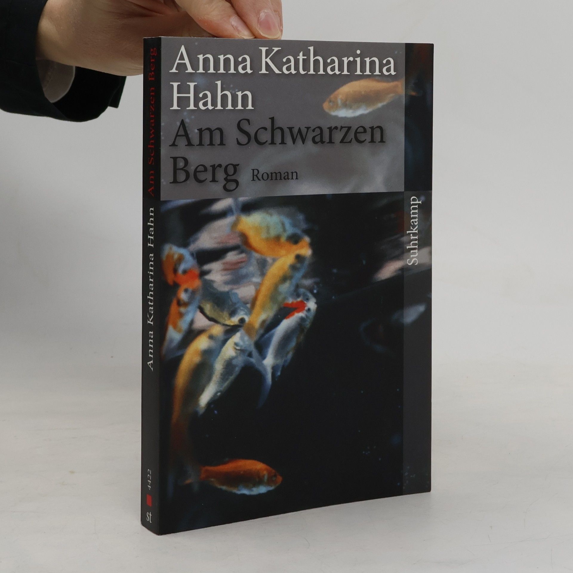 Anna Katharina Hahn Am Schwarzen Berg