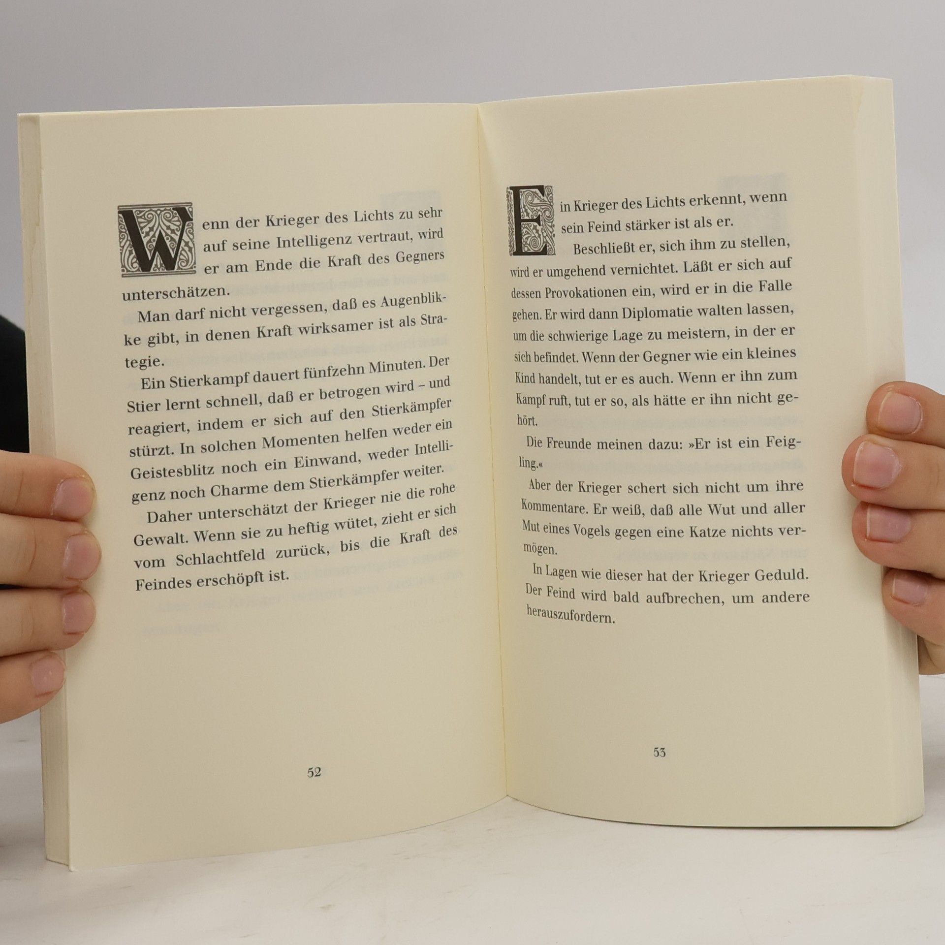 Paulo Coelho Handbuch des Kriegers des Lichts