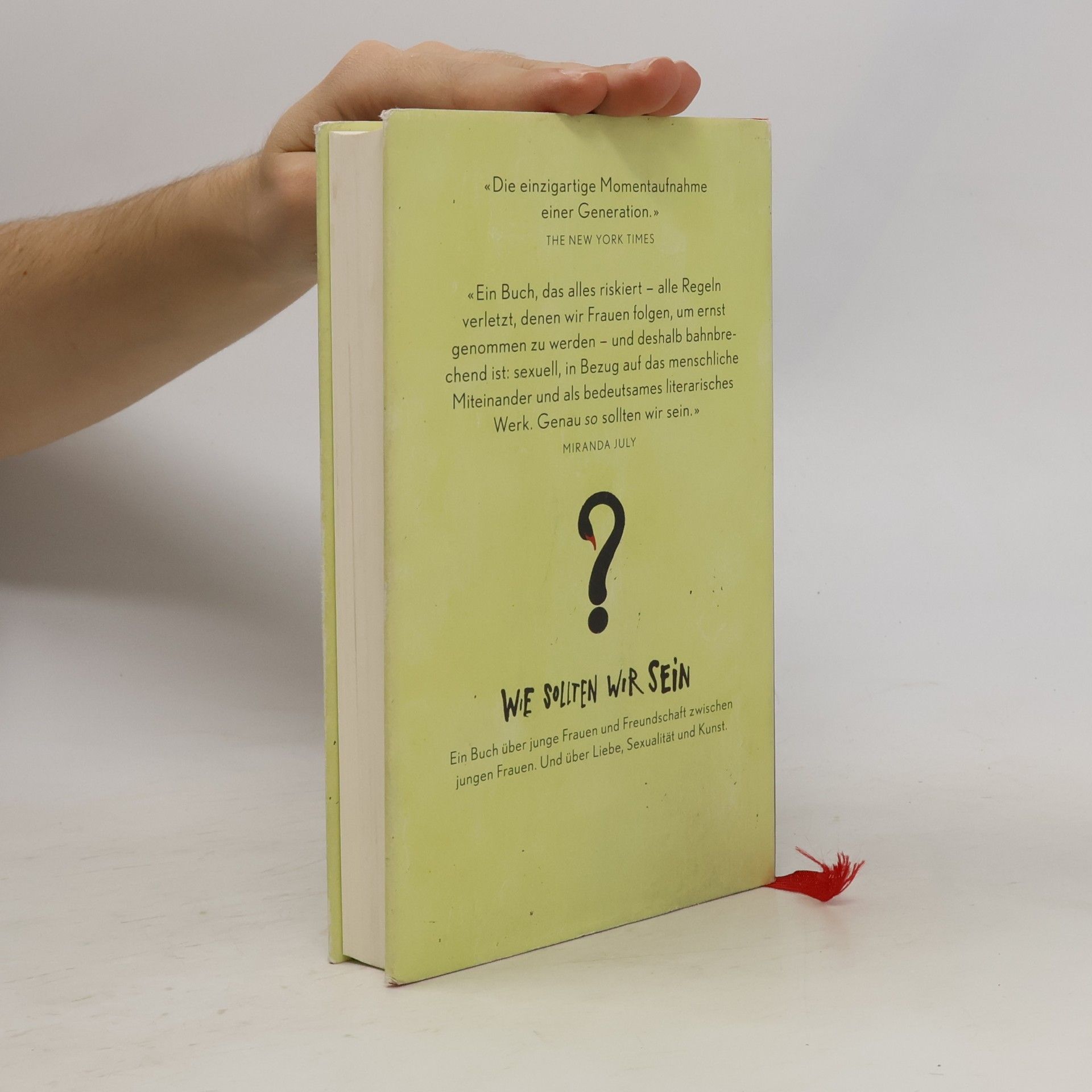 Sheila Heti Wie sollten wir sein?