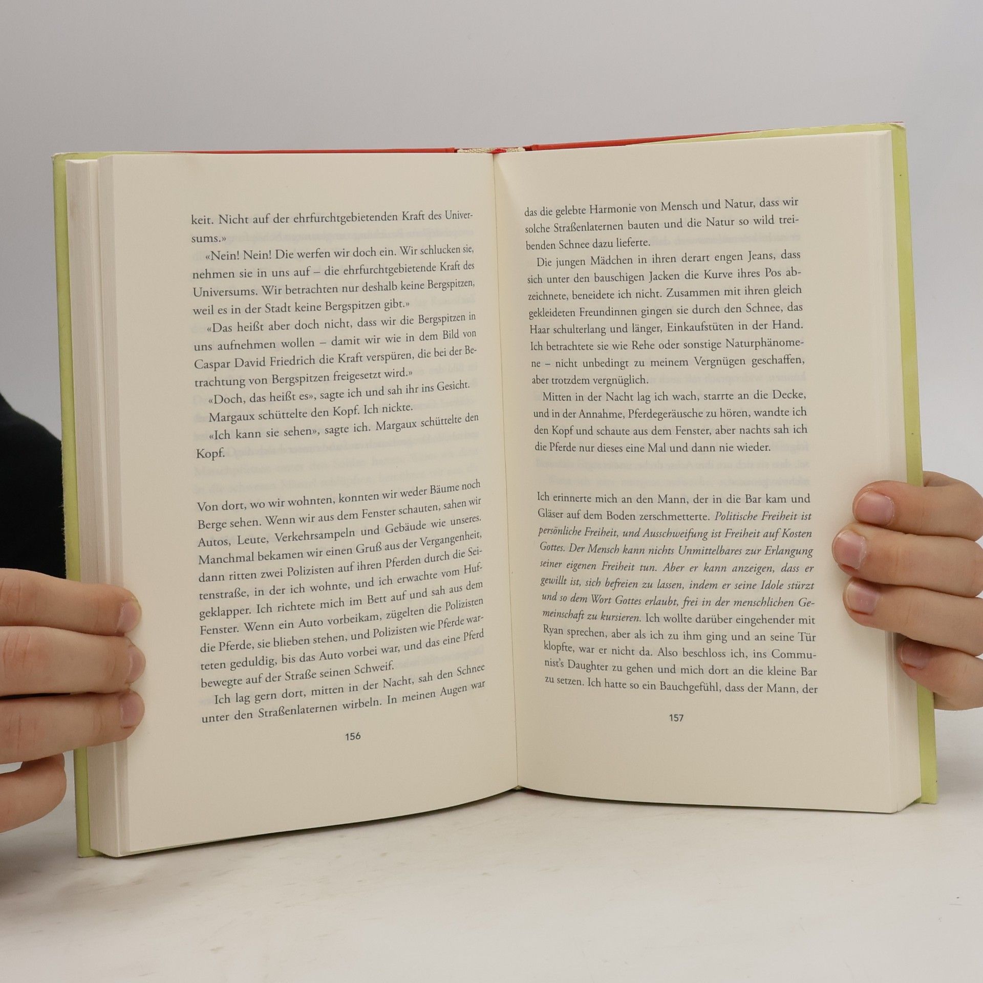 Sheila Heti Wie sollten wir sein?