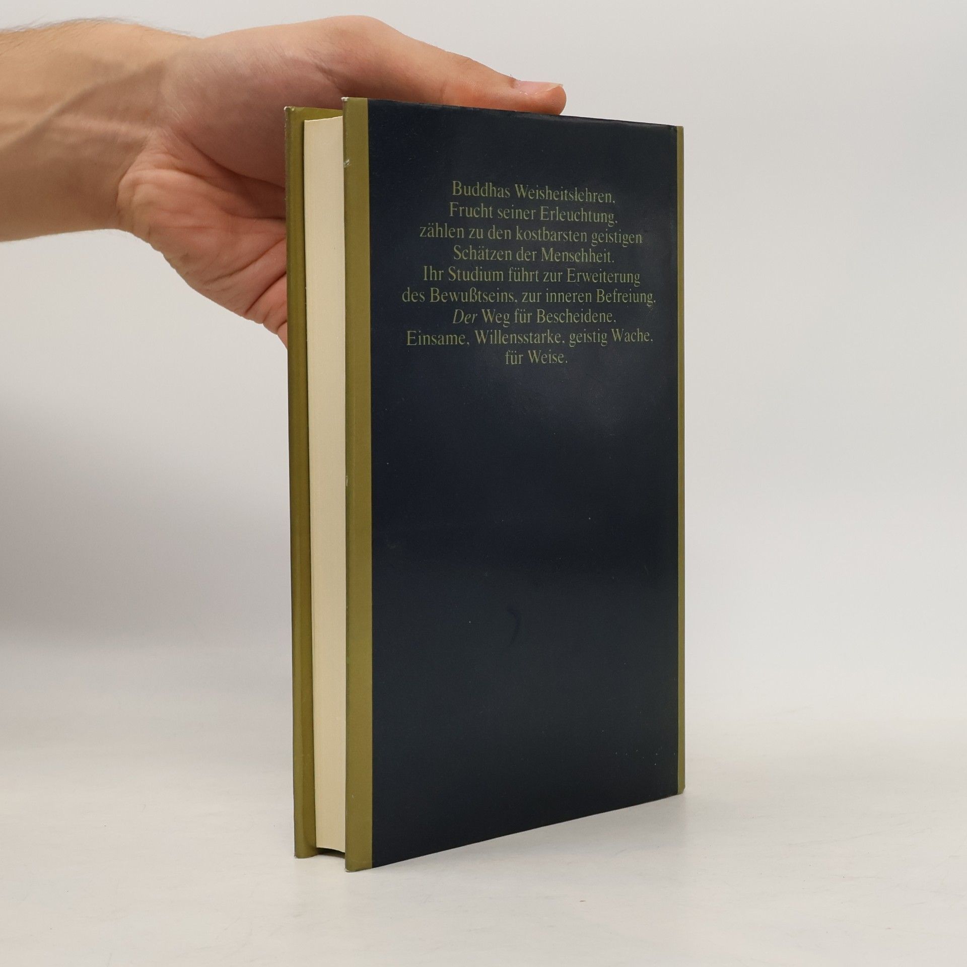 Autorenkollektiv Buddha: Pfad zur Erleuchtung