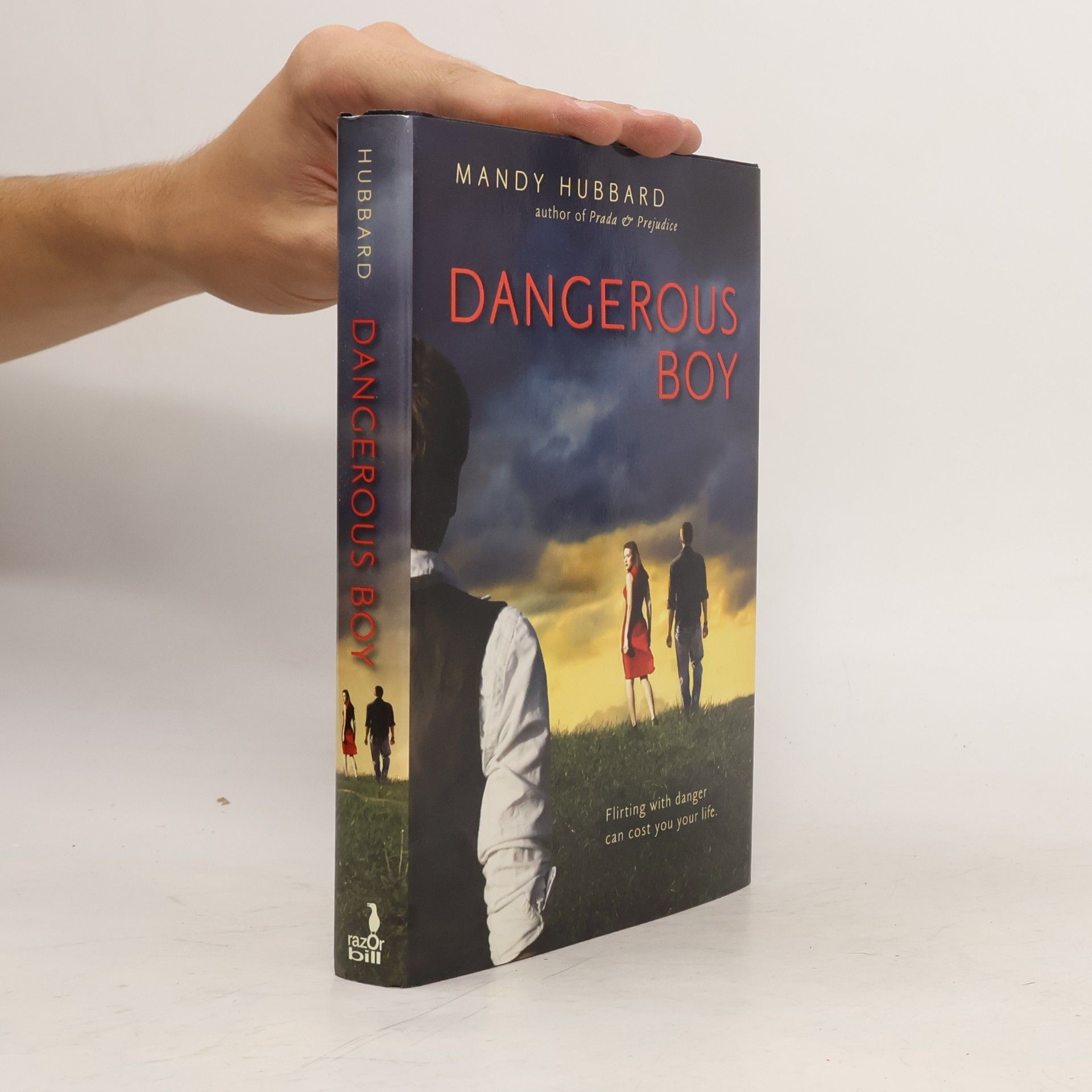 Amanda Hubbard Dangerous Boy