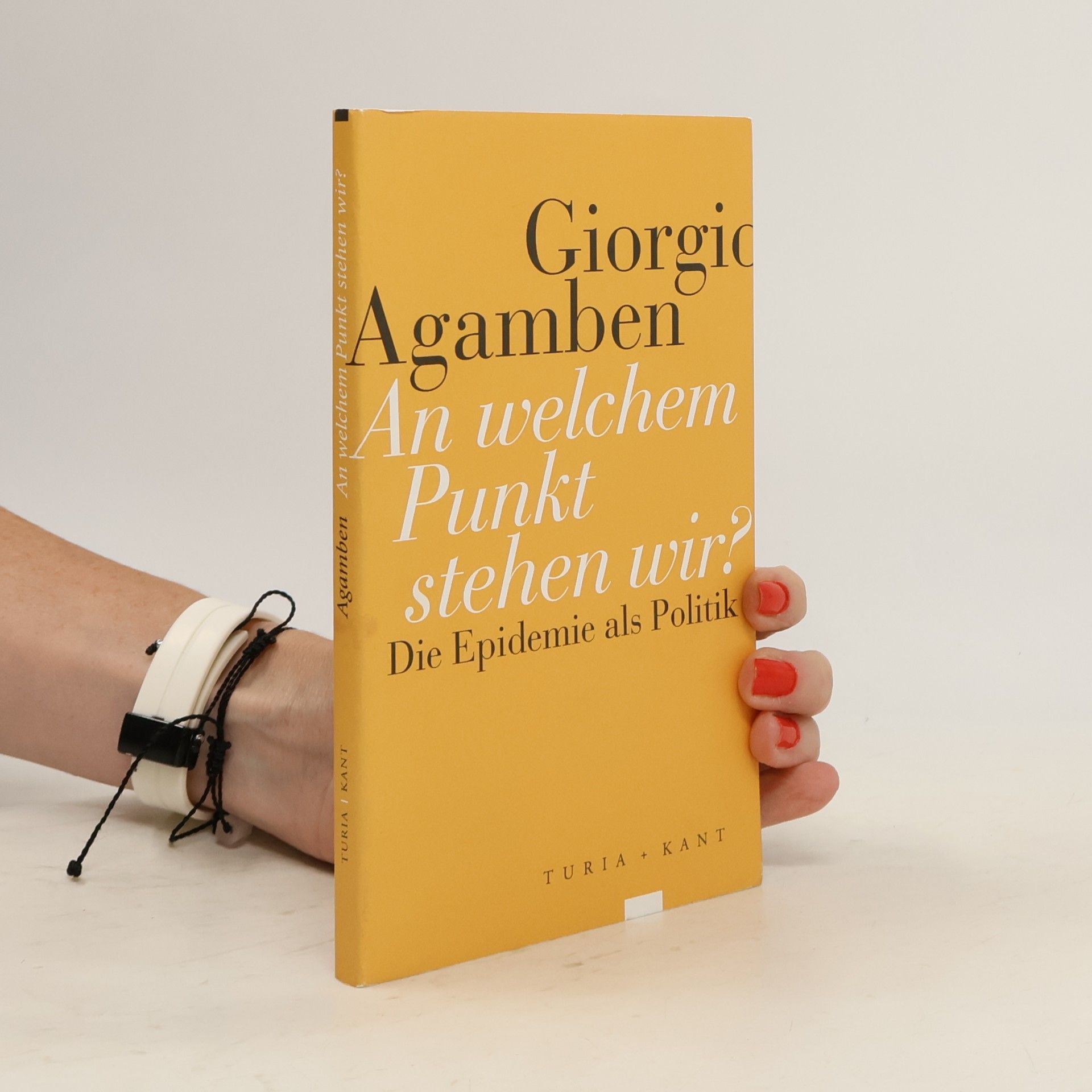 Giorgio Agamben An welchem Punkt stehen wir?