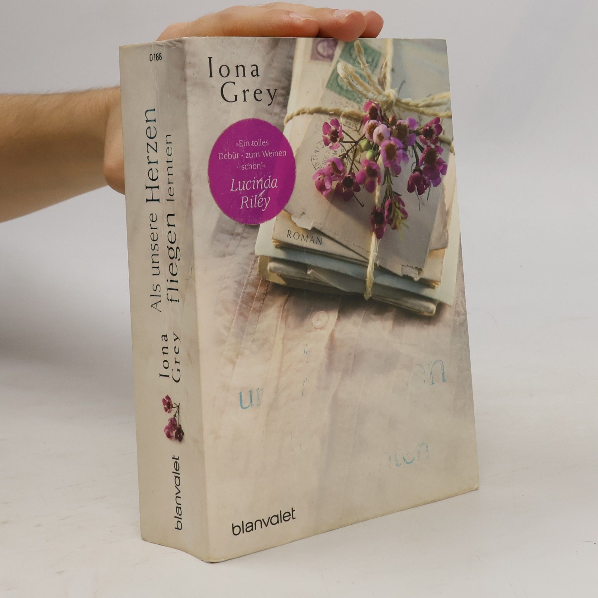 Iona Grey Als unsere Herzen fliegen lernten