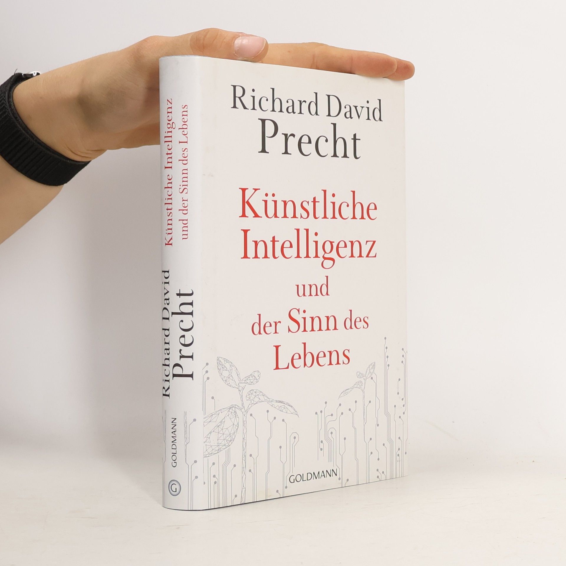 Künstliche Intelligenz und der Sinn des Lebens