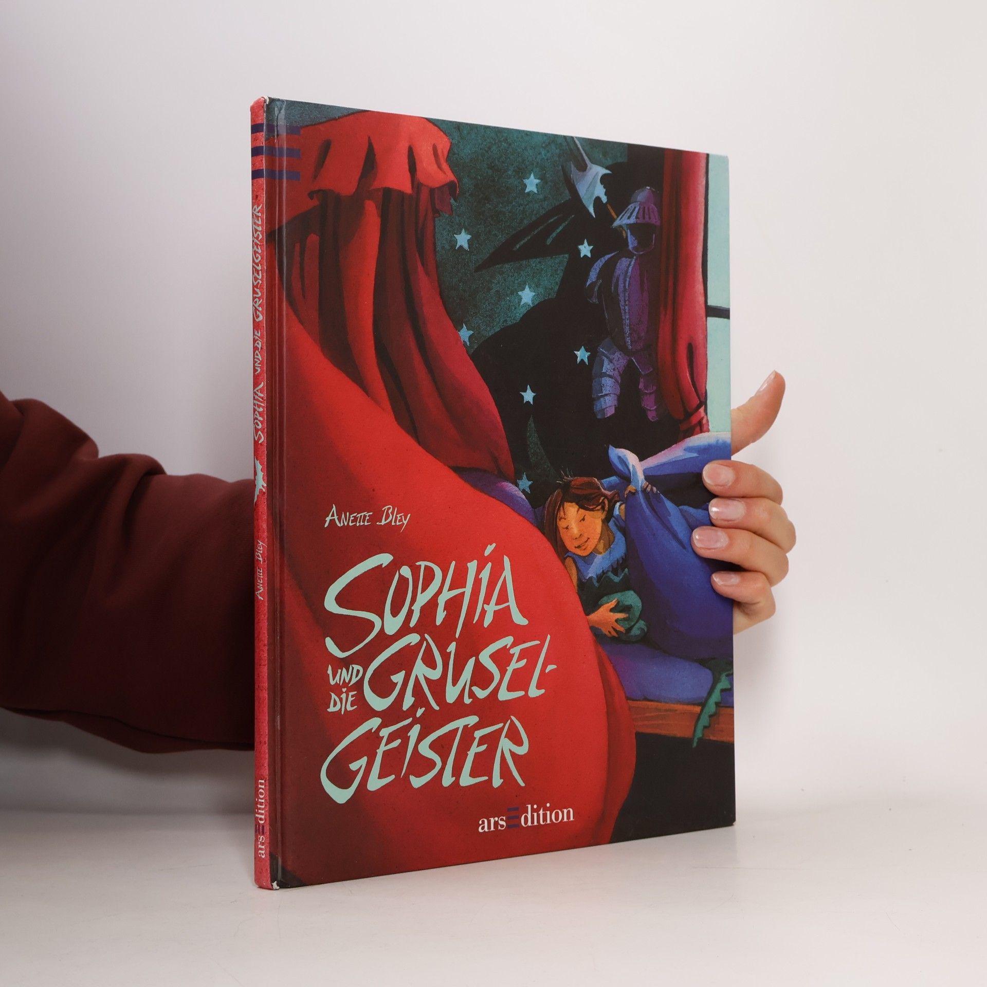 Anette Bley Sophia und die Gruselgeister
