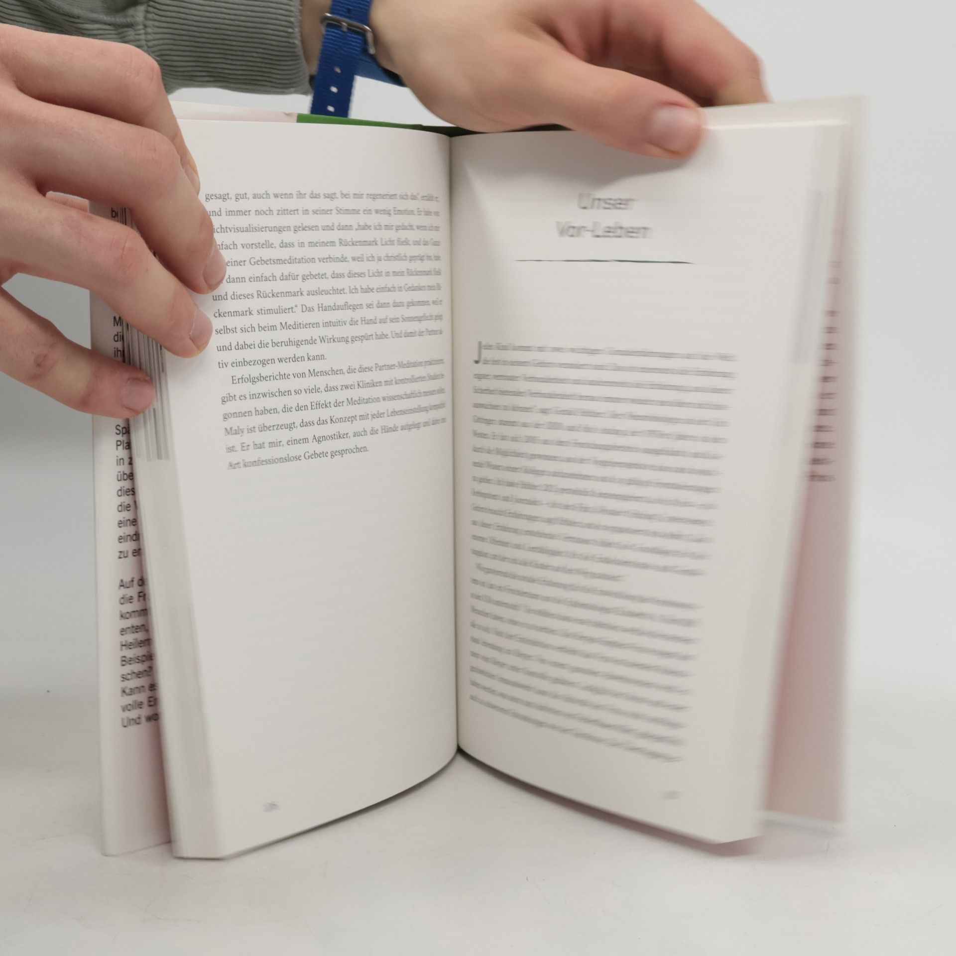Kurt Langbein Weissbuch Heilung. Wenn die moderne Medizin nichts mehr tun kann