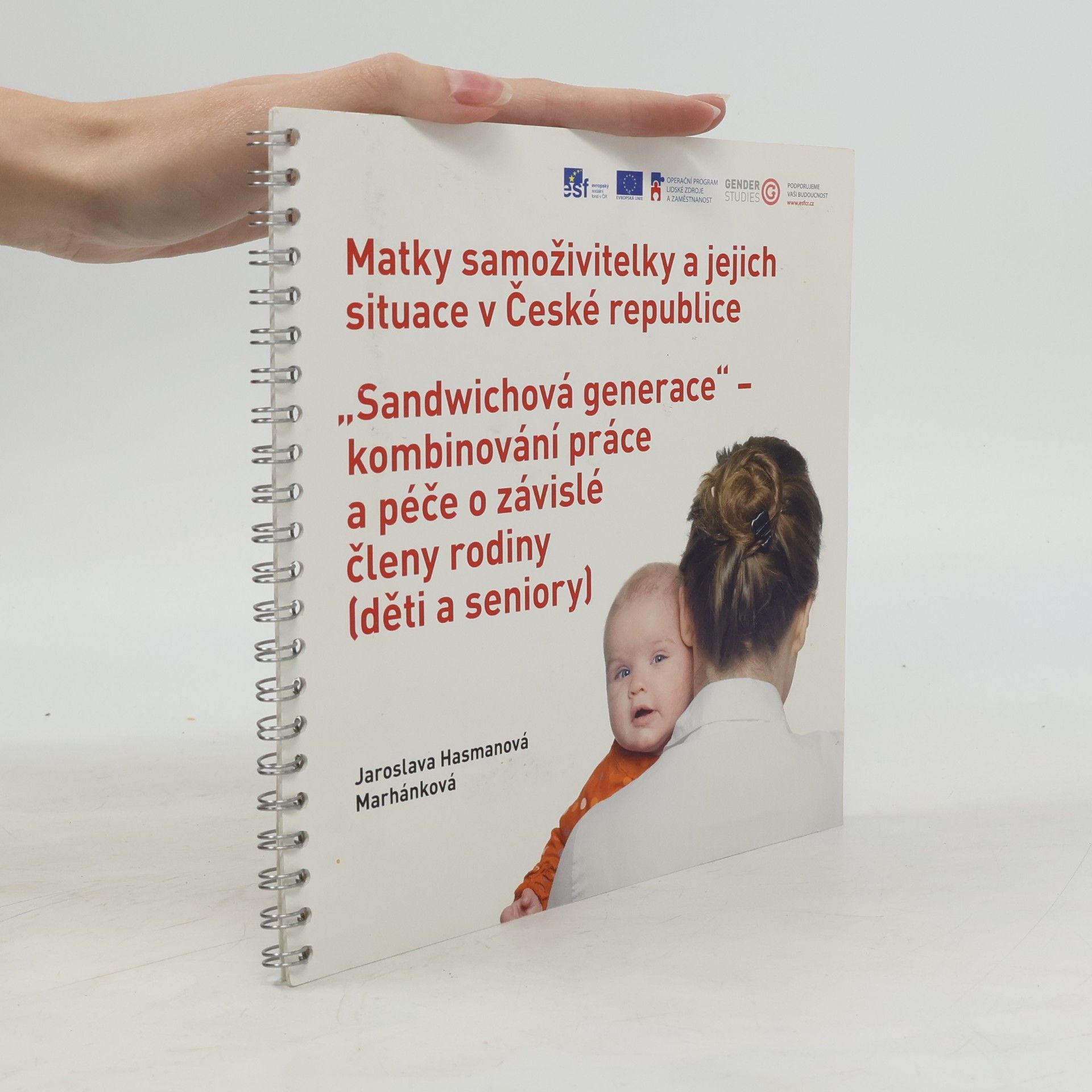 Matky samoživitelky a jejich situace v České republice