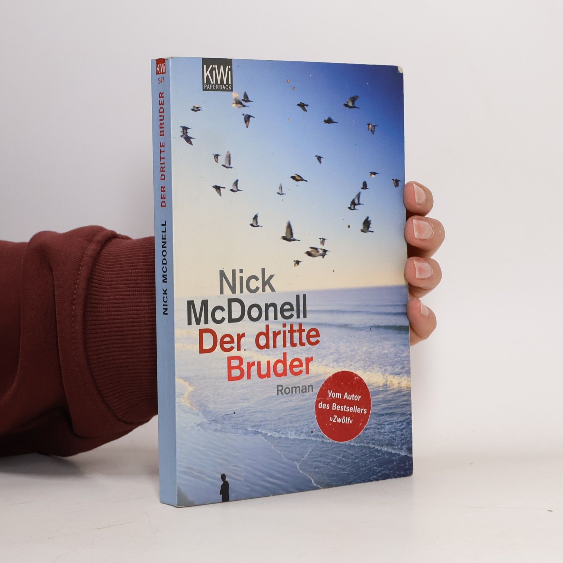 Nick McDonell Der dritte Bruder