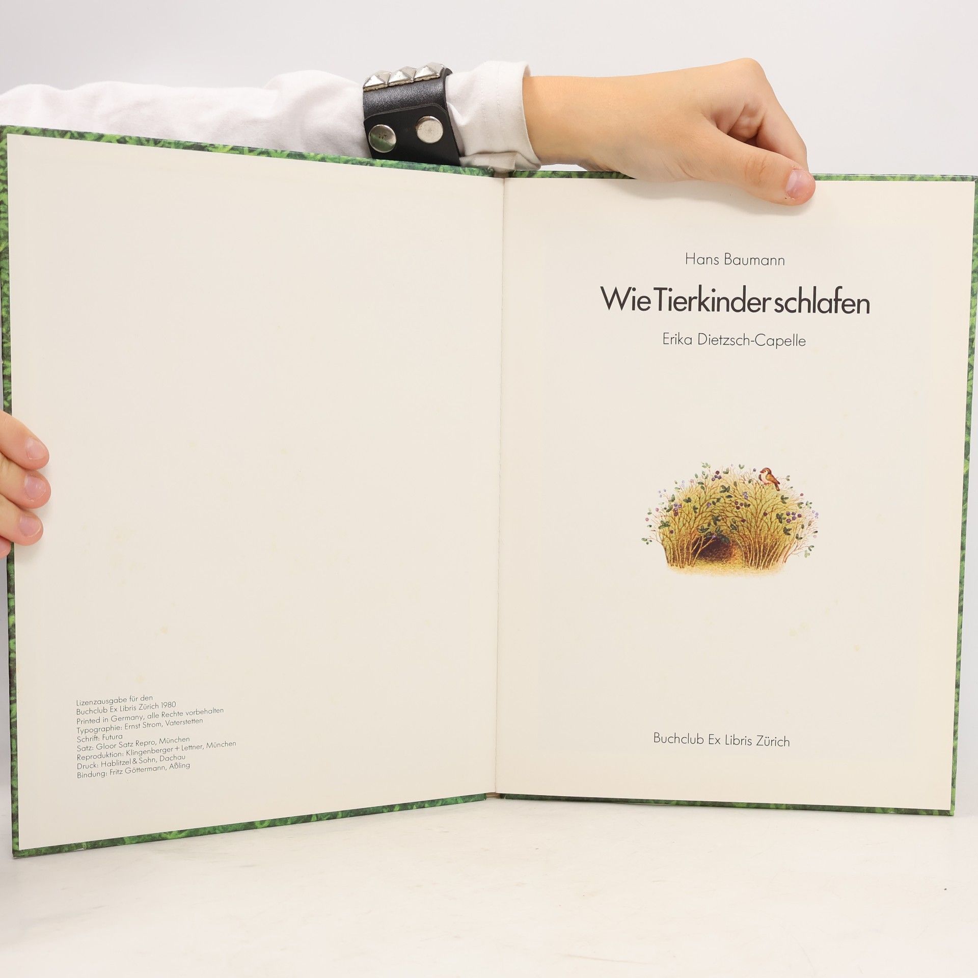 Hans Baumann Wie Tierkinder schlafen
