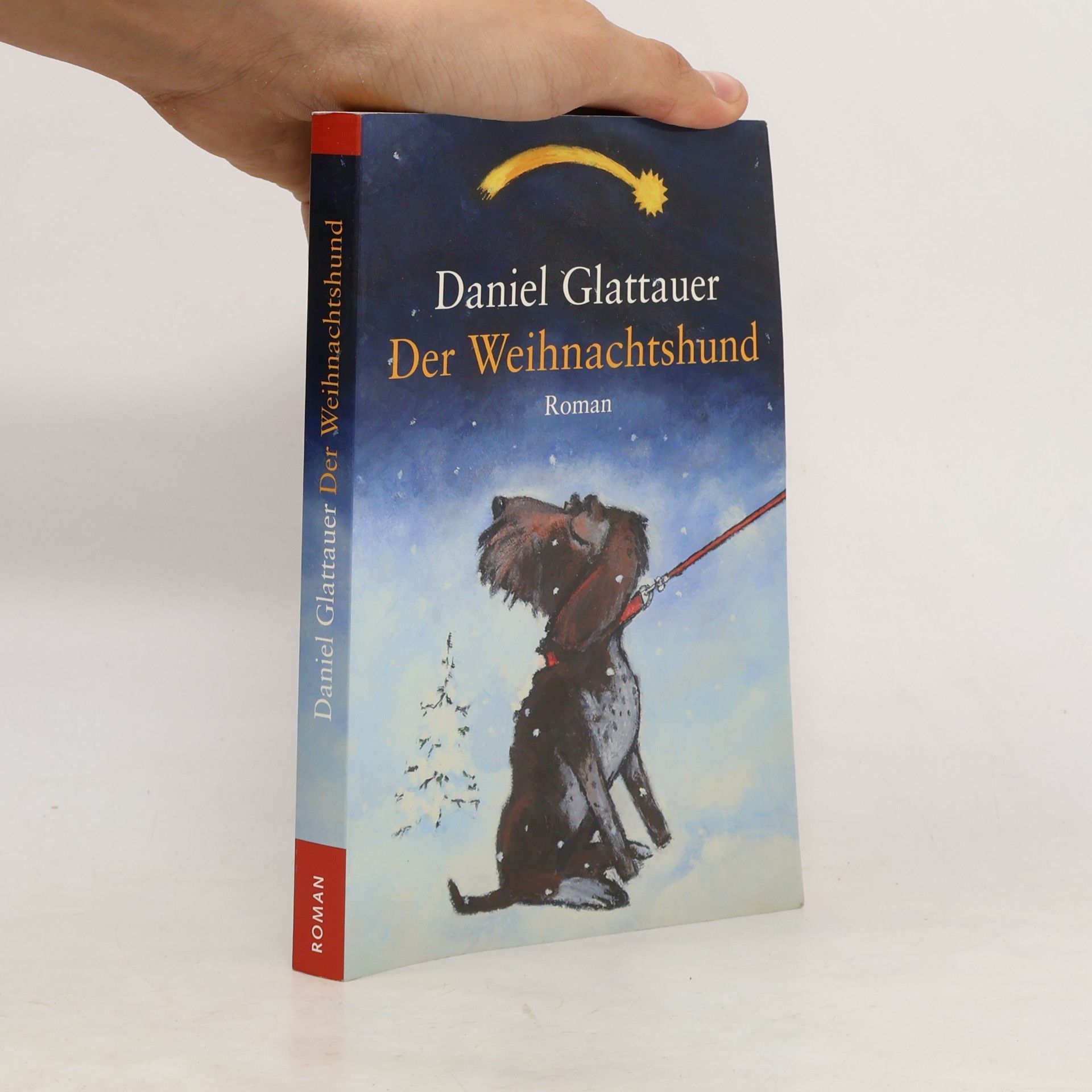 Daniel Glattauer Der Weihnachtshund
