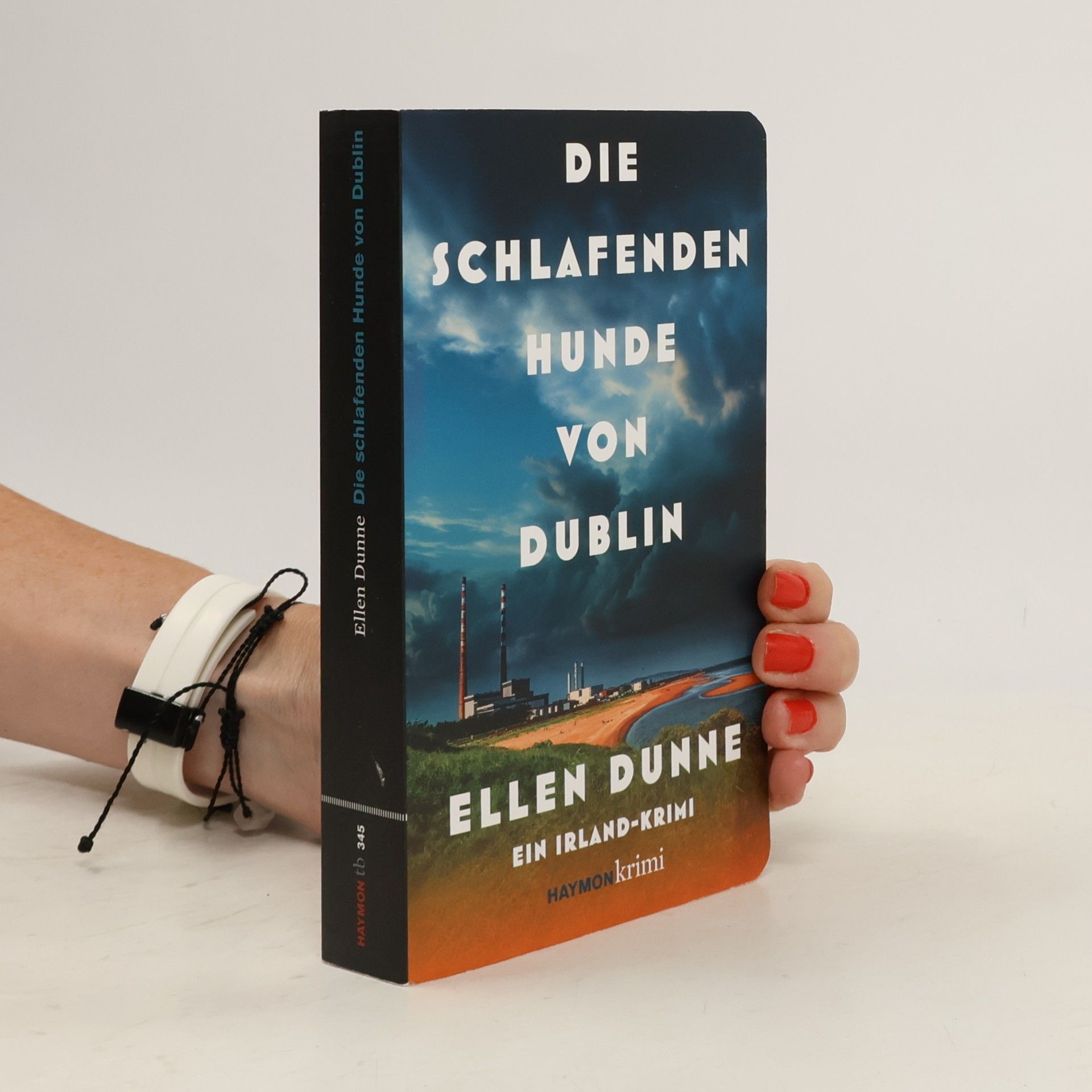 Ellen Dunne Die schlafenden Hunde von Dublin