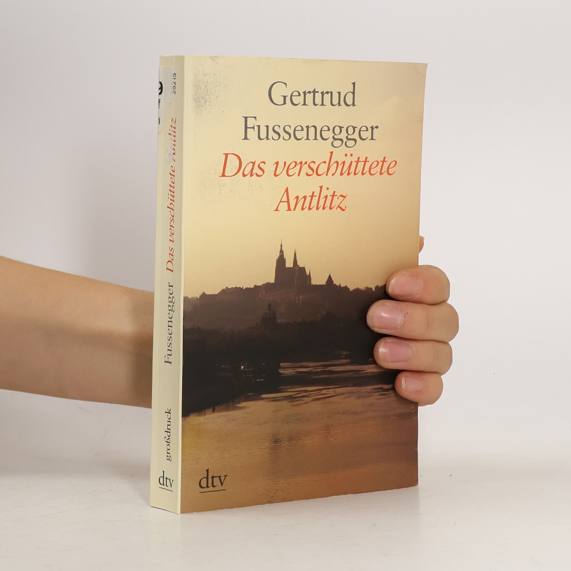 Gertrud Fussenegger Das verschüttete Antlitz