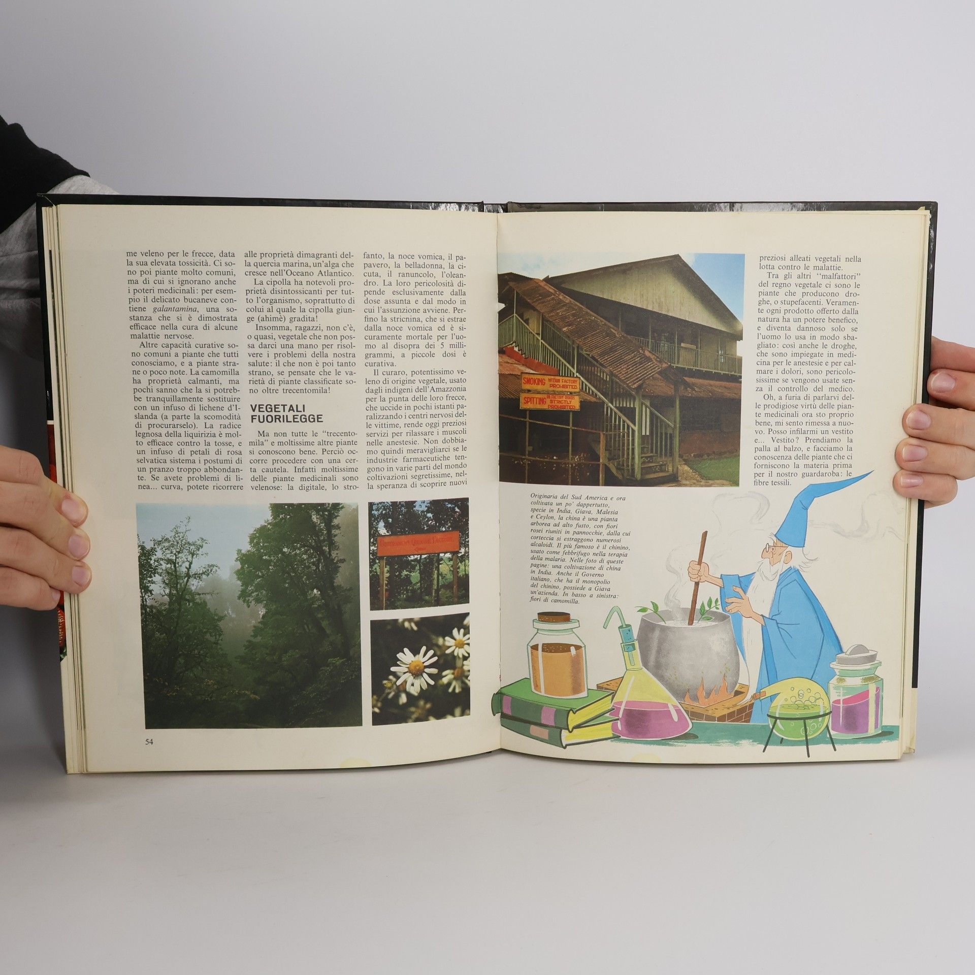 Robert Pearson Enciclopedia Disney. Piante